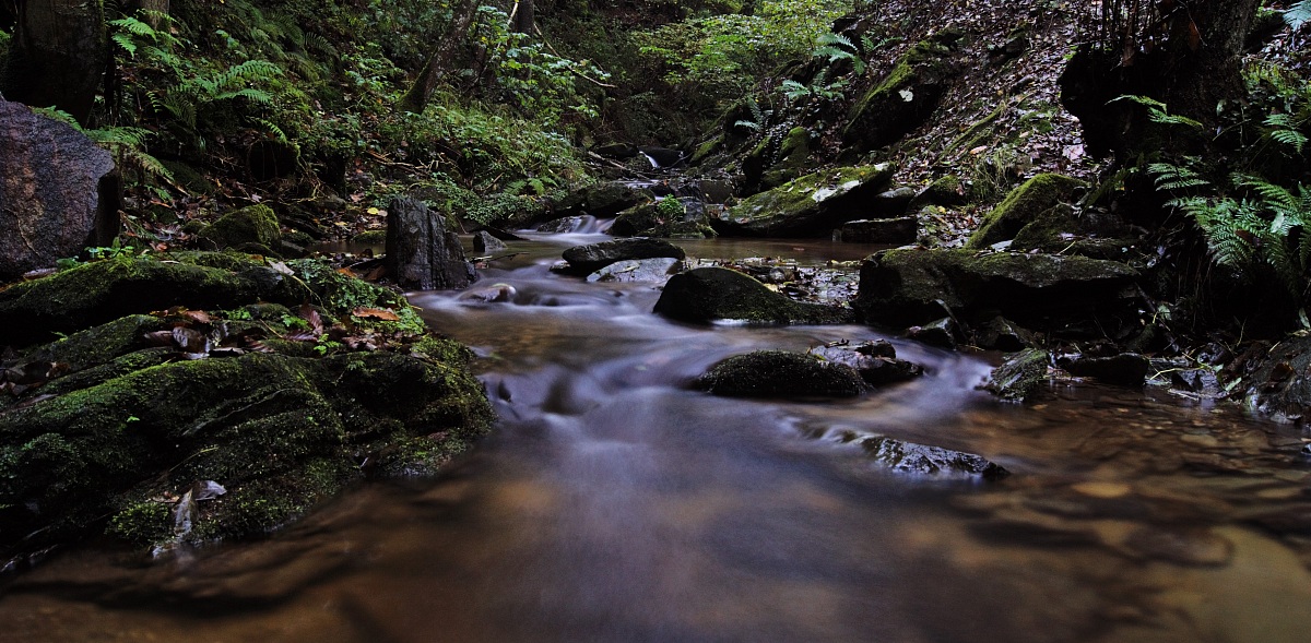 torrente chiamogna 3