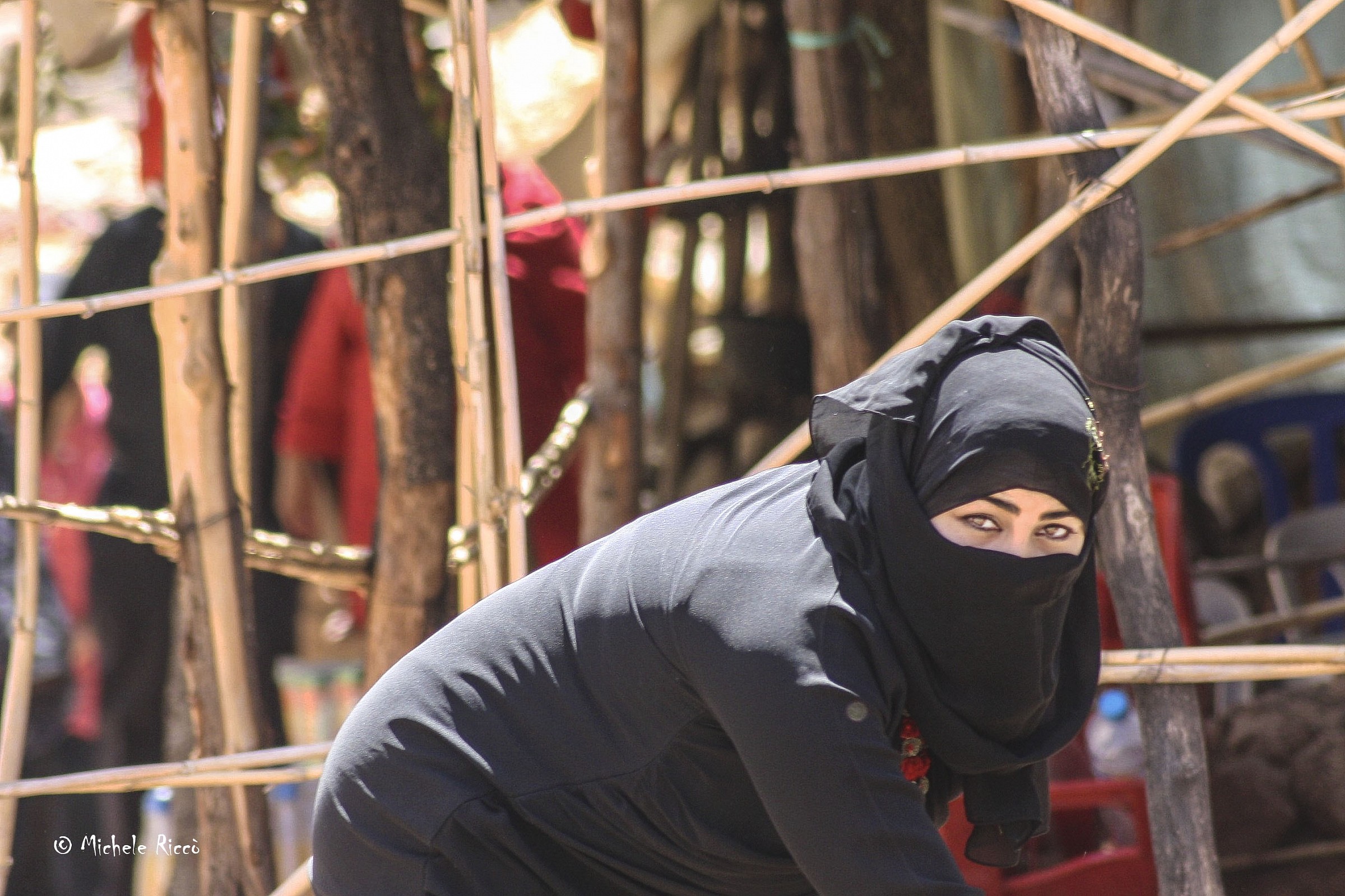 Marocco nei pressi della foresta dei Cedri