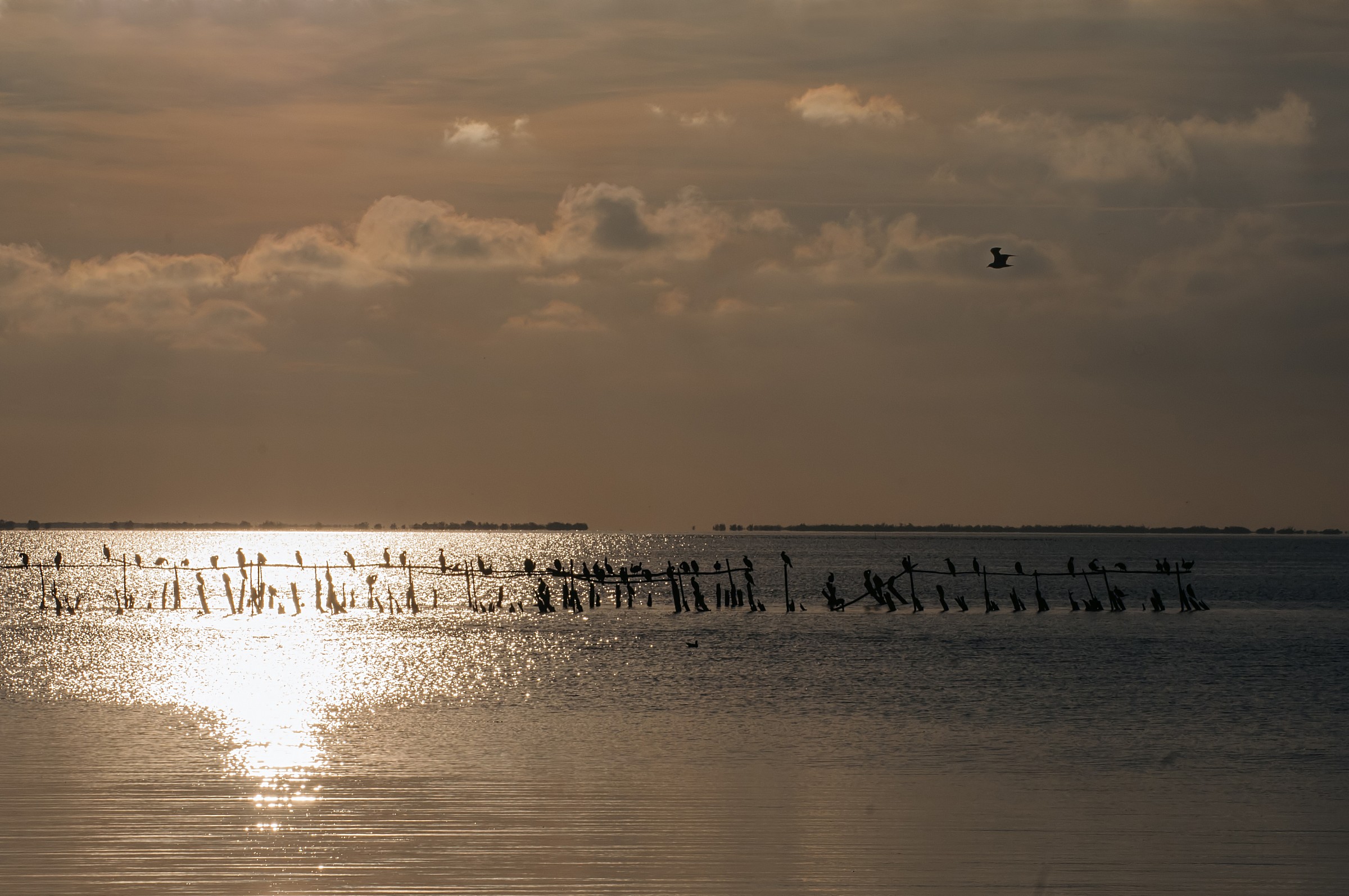 Sunset on the 'Etang de Vaccarès ...
