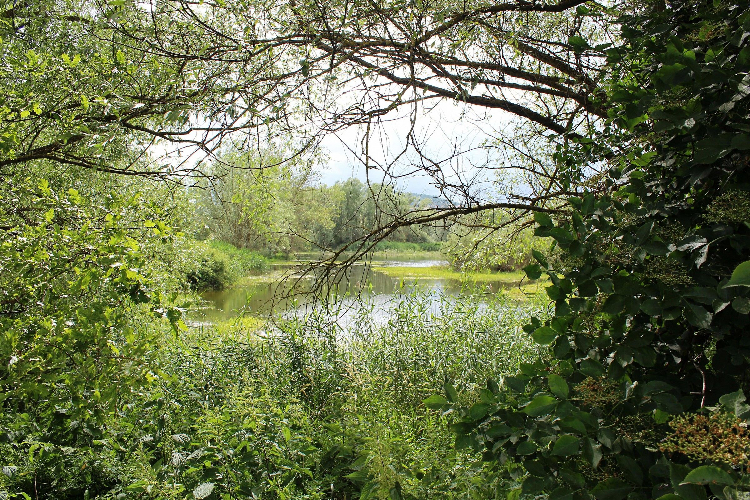 Palude di Colfiorito