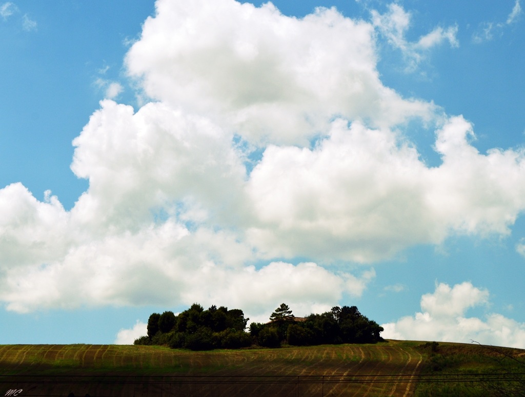 Oasi sulle colline marchigiane