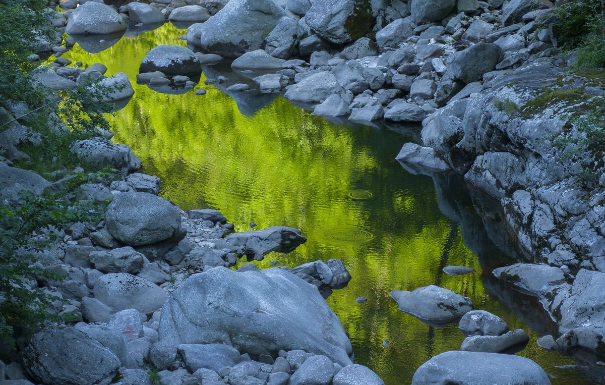 Green reflections