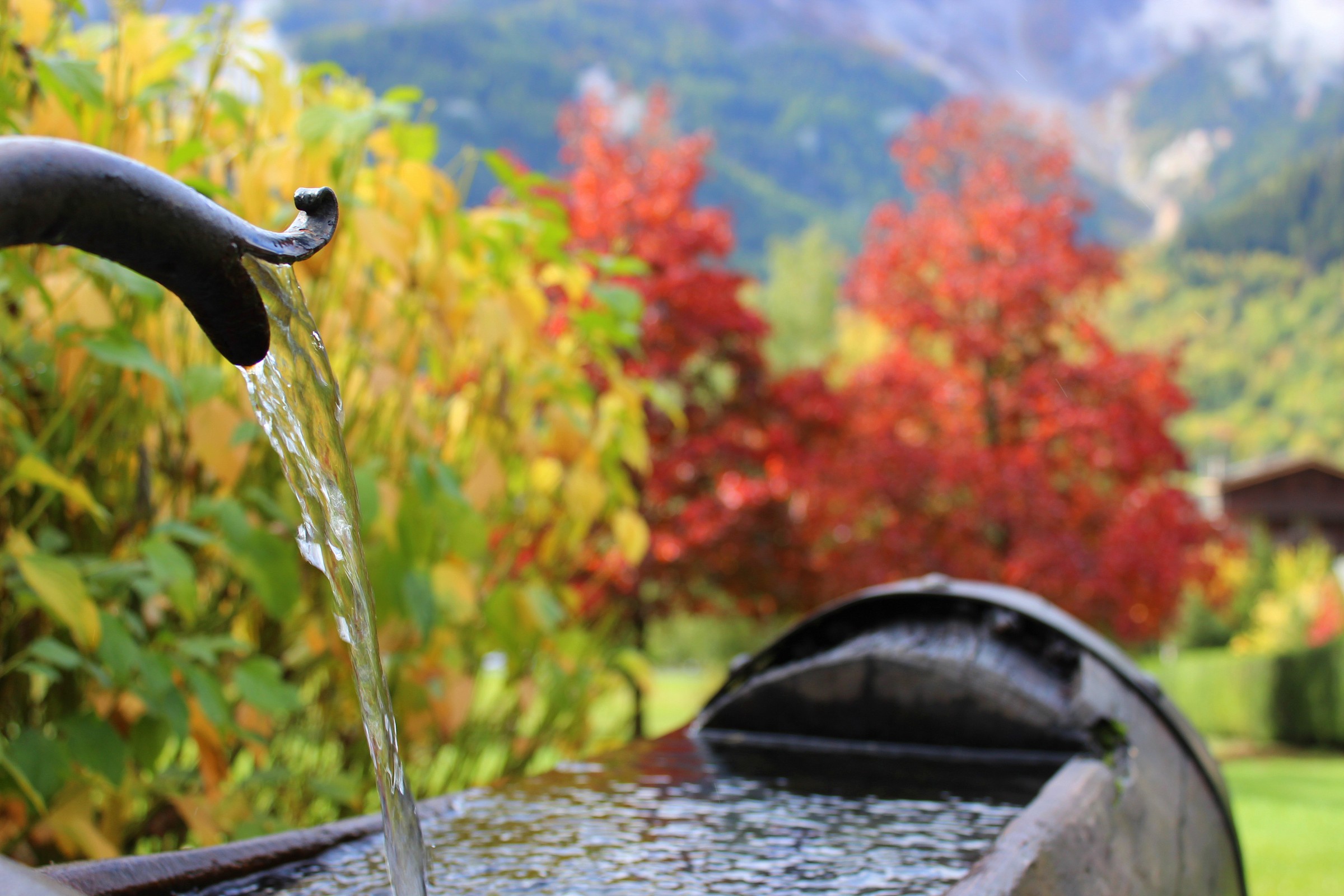Parco Bollino, Courmayeur