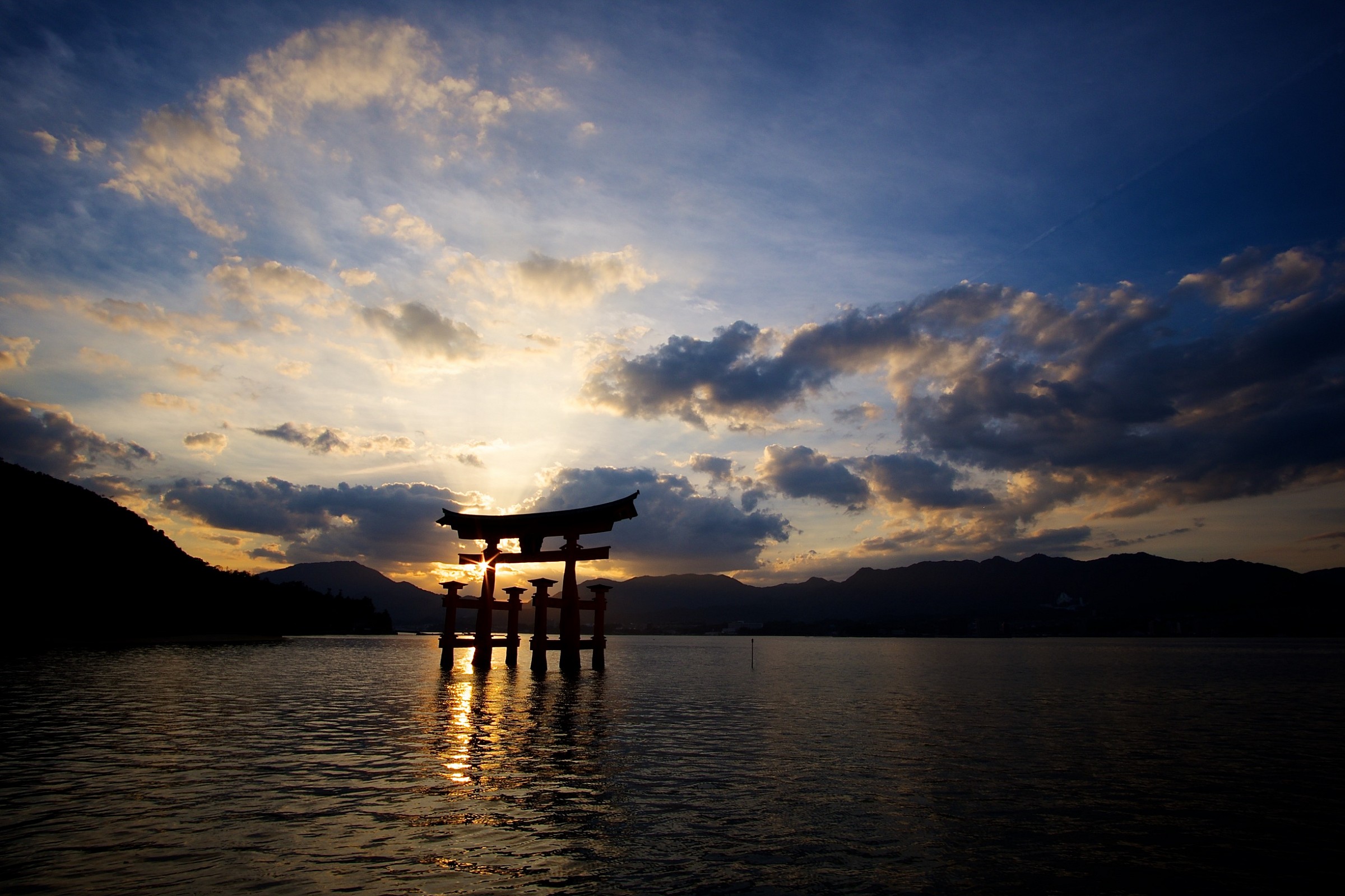 The bulls of Miyajima at sunset