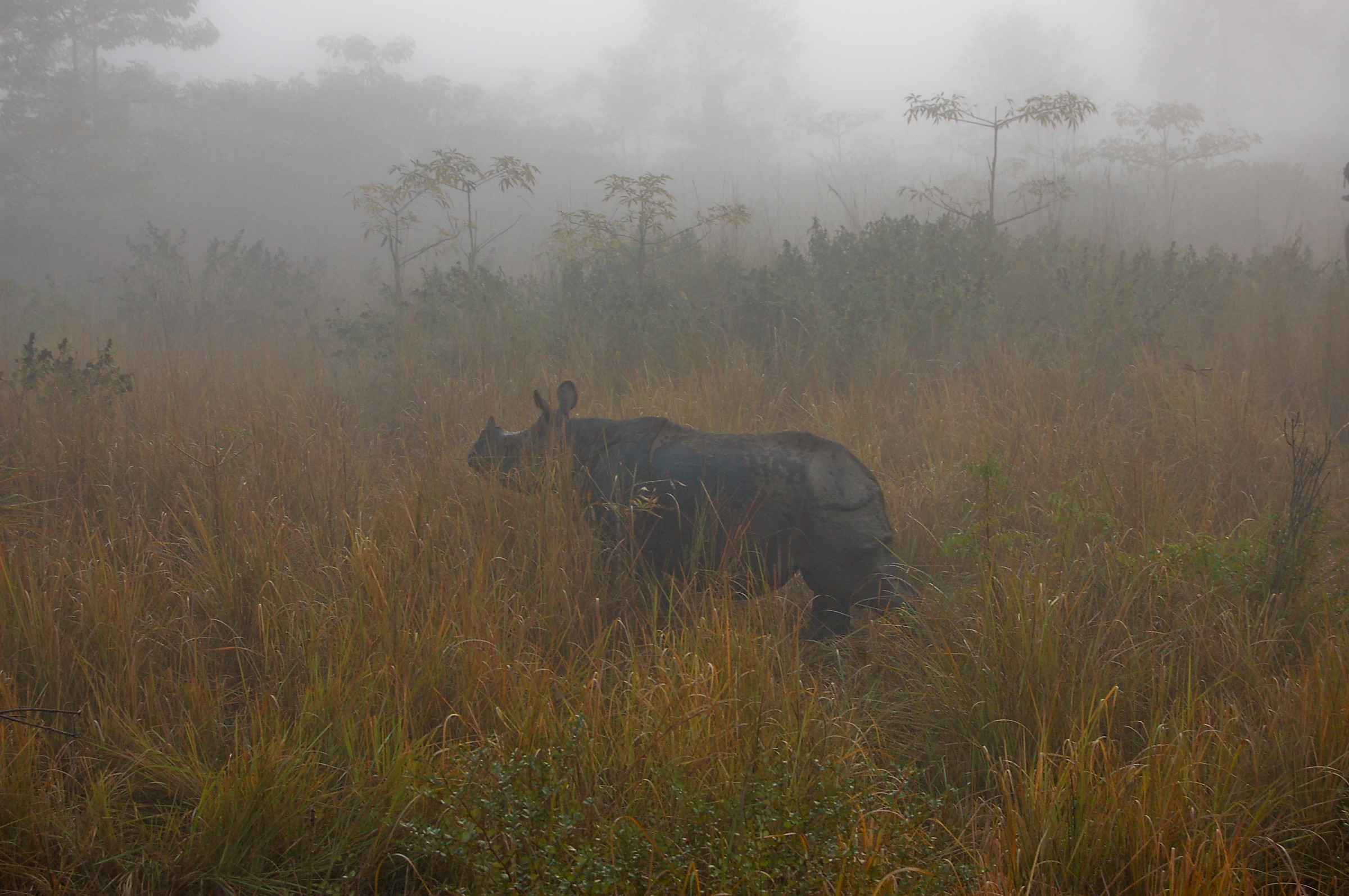 MiN3, Chitwan-Baktapur 4