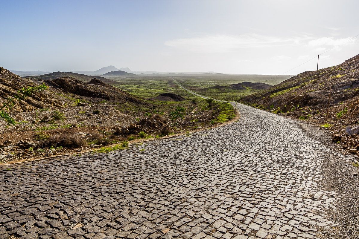 straight you can not go wrong!