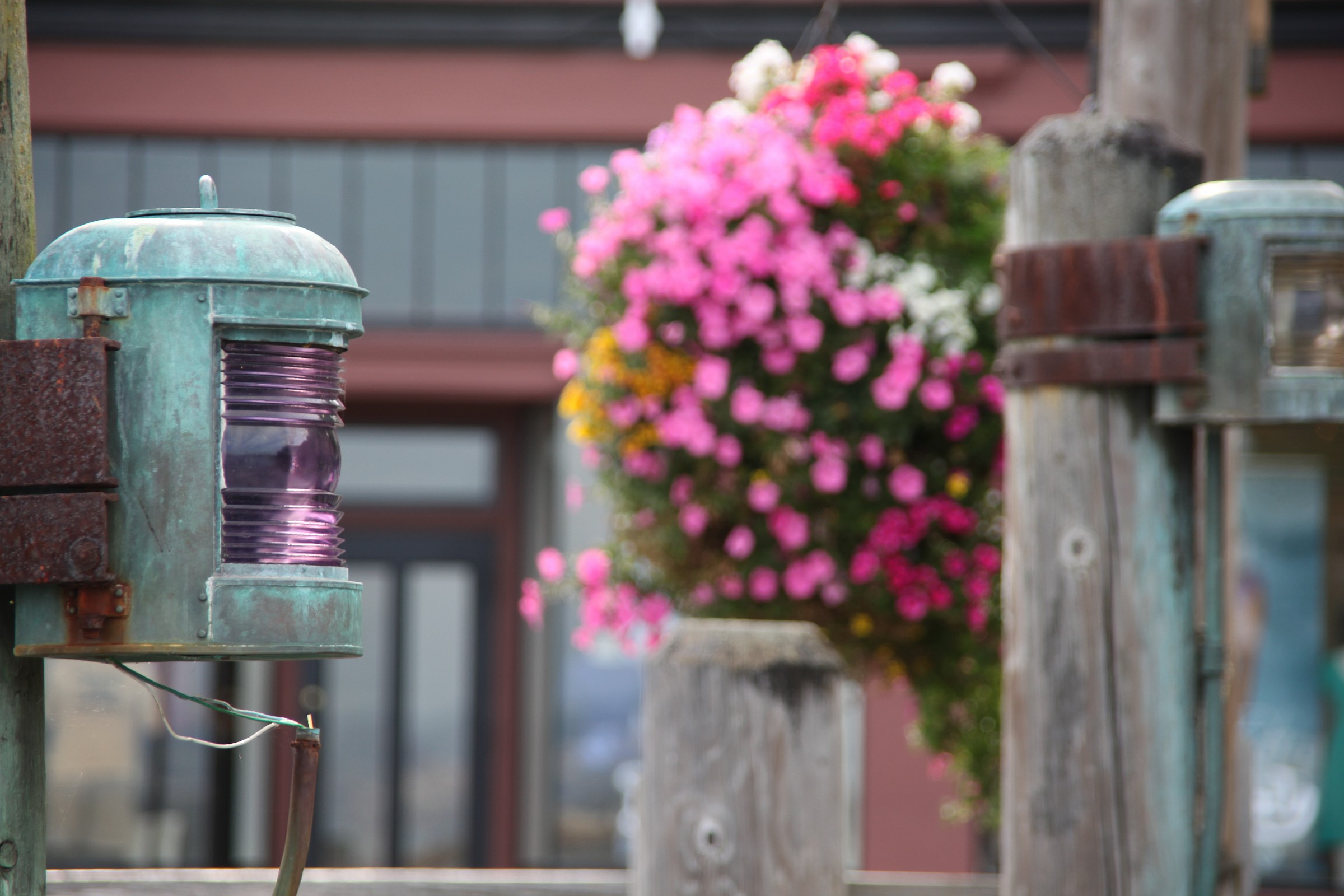 Il porto di Sausalito