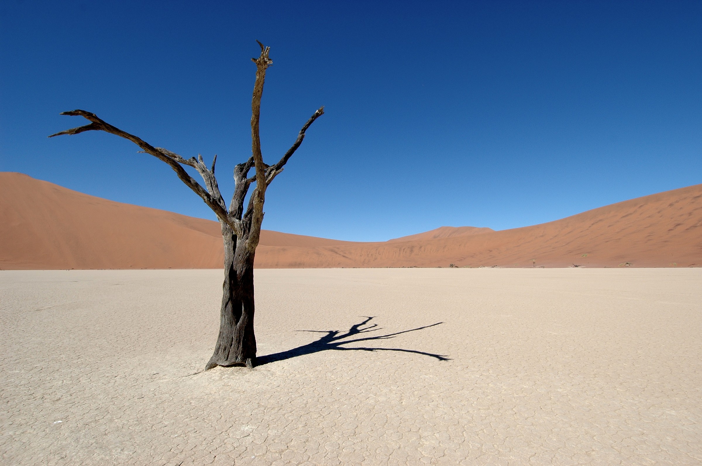Deadvlei, Namibia