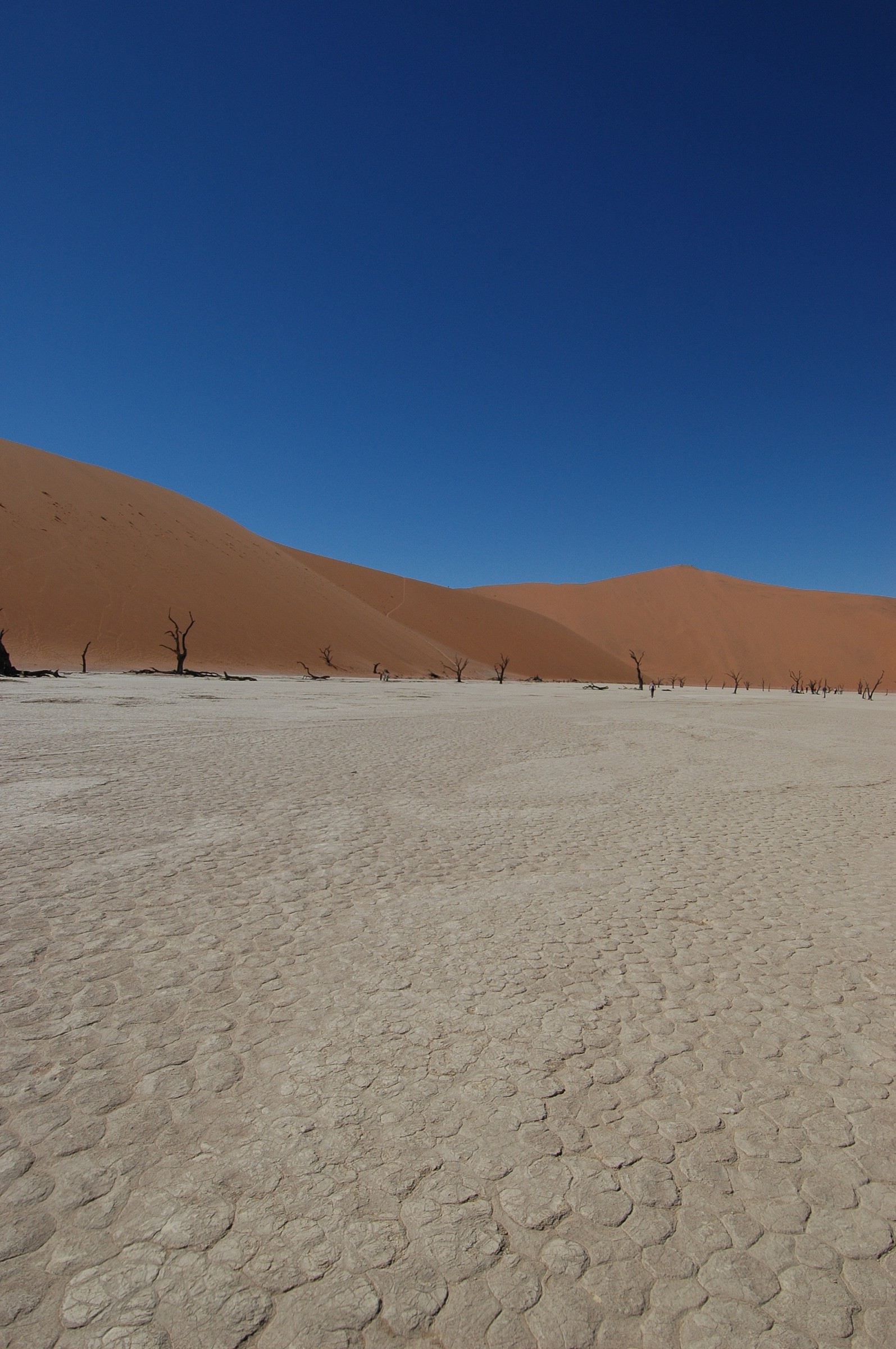 Deadvlei, Namibia