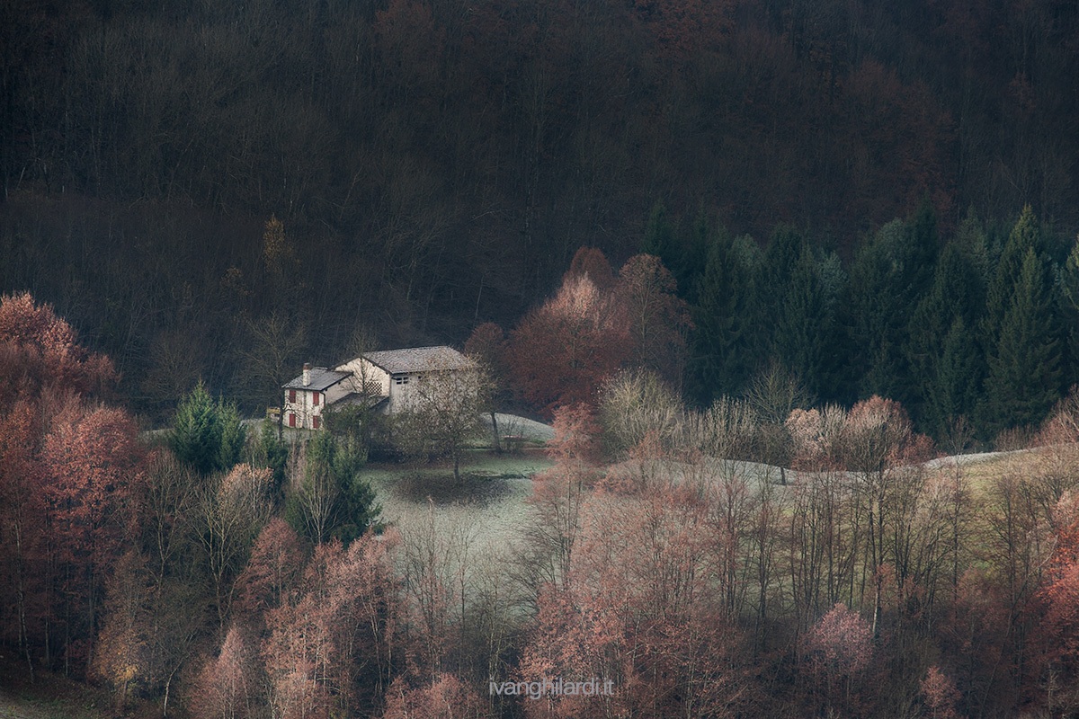 Autumn in the valley Taleggio