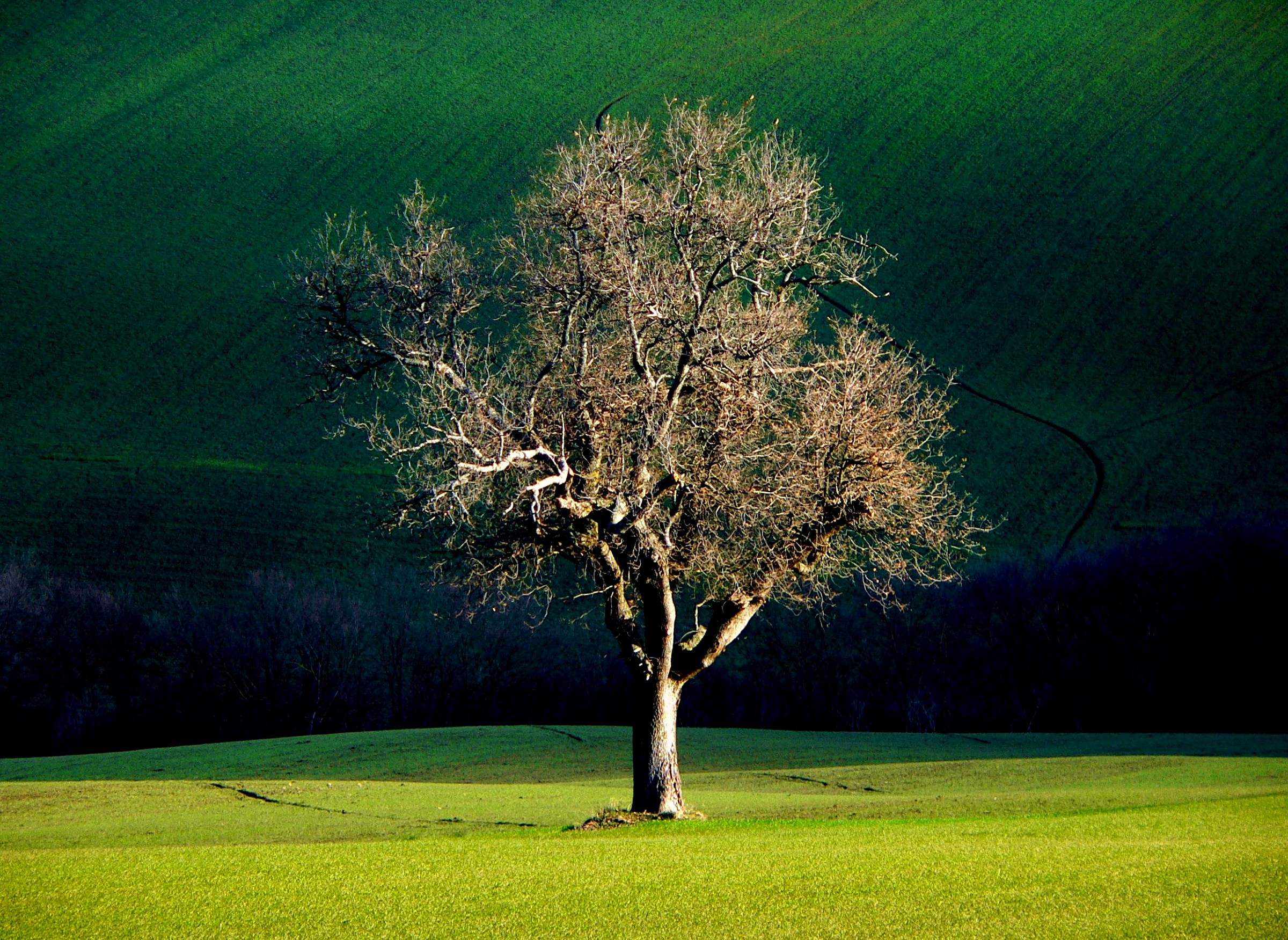 Tra i colori della campagna