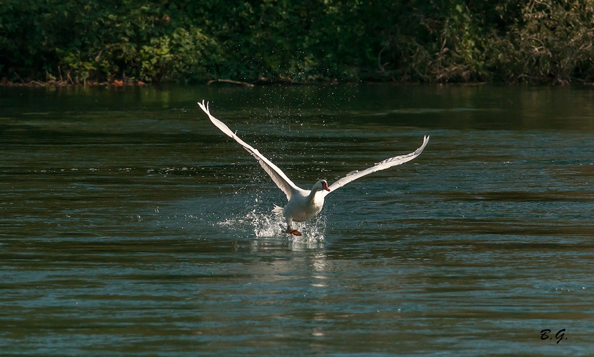 Che fatica per partire..