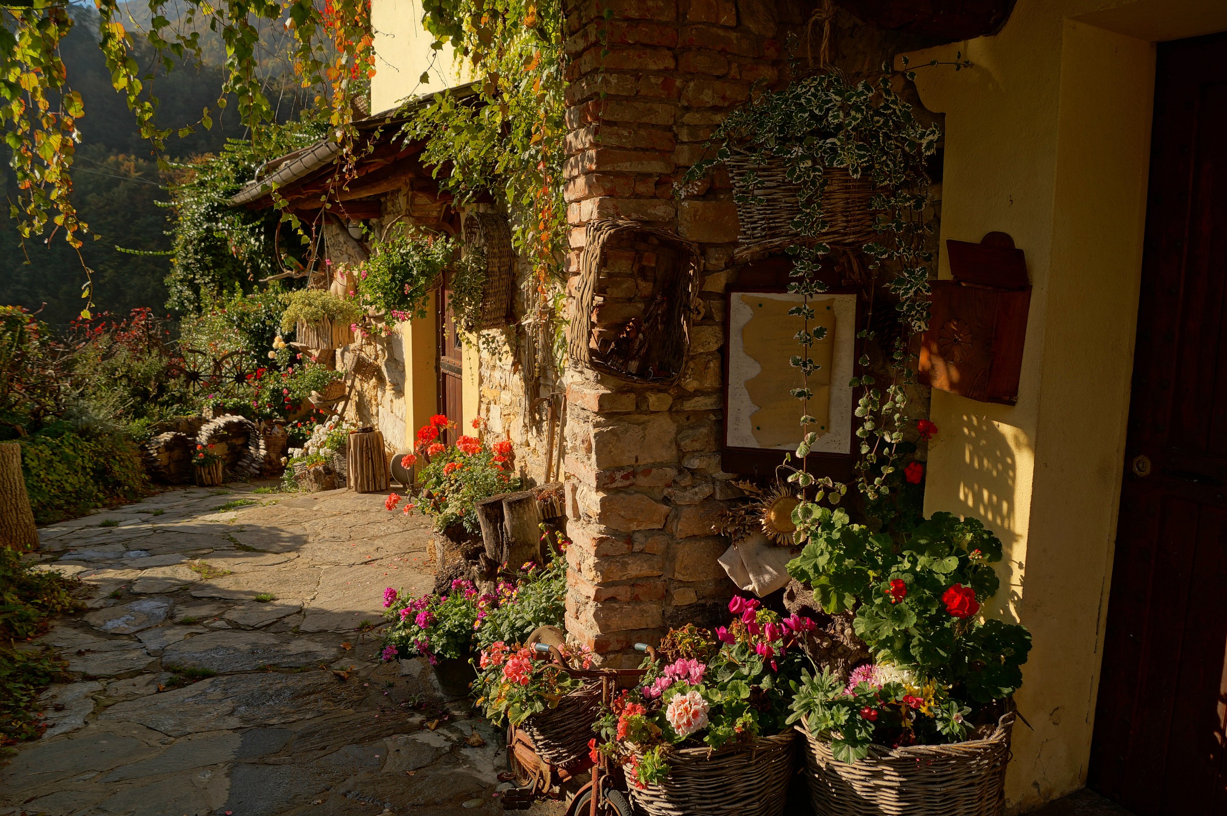 A feast for the eyes .. !!