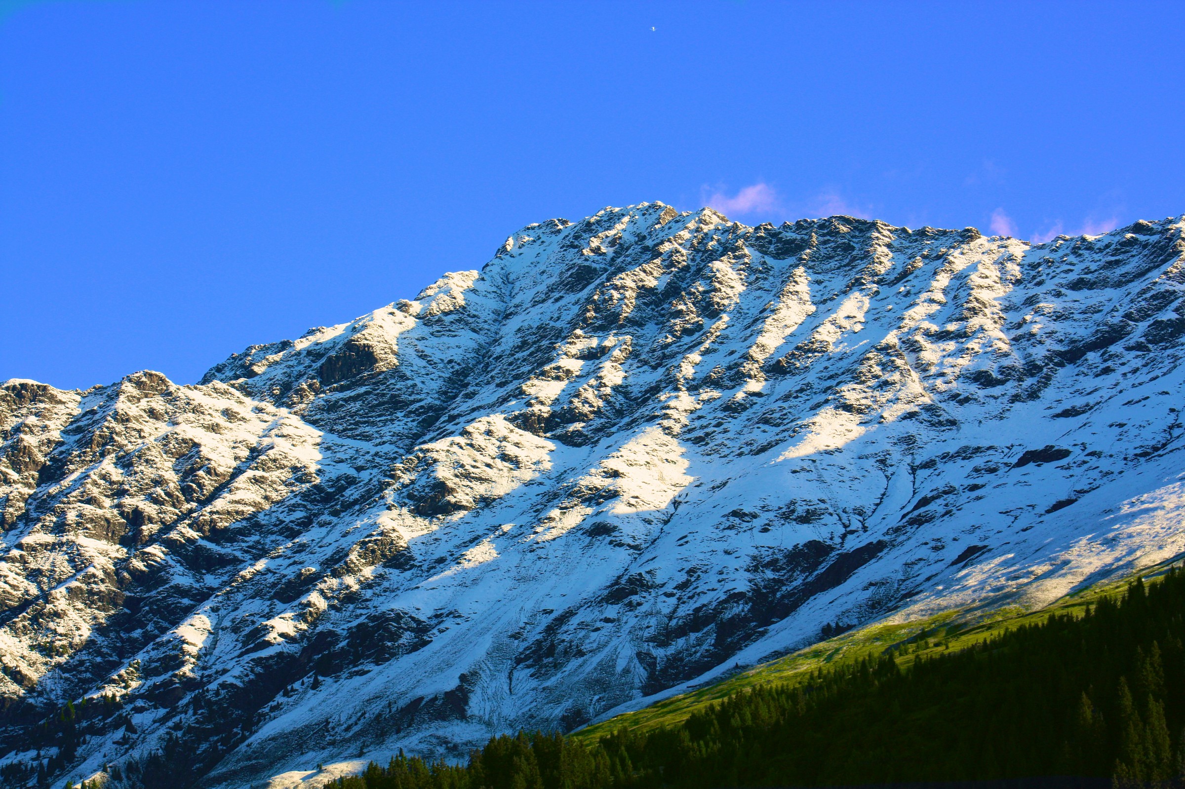Racines - Valle Isarco