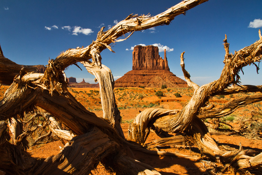 Monument Valley