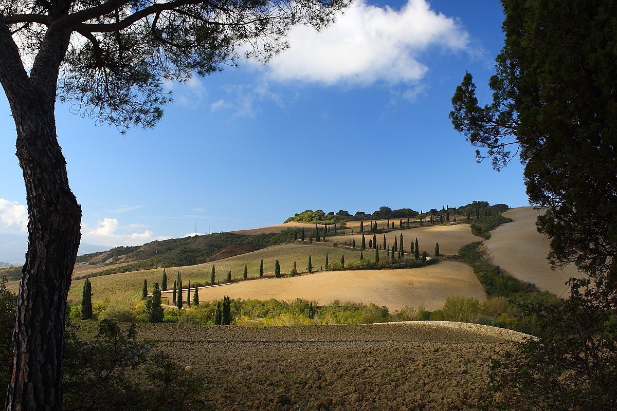 This morning in Val d'Orcia