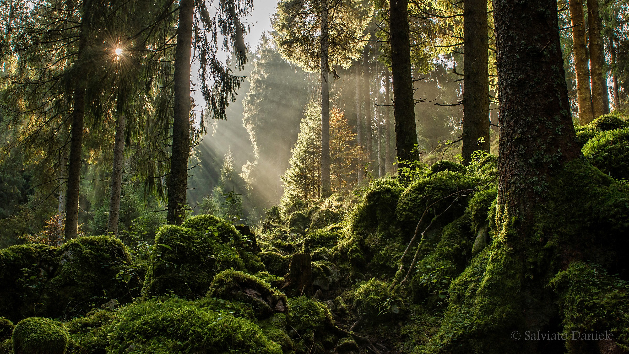 After the fog, towards