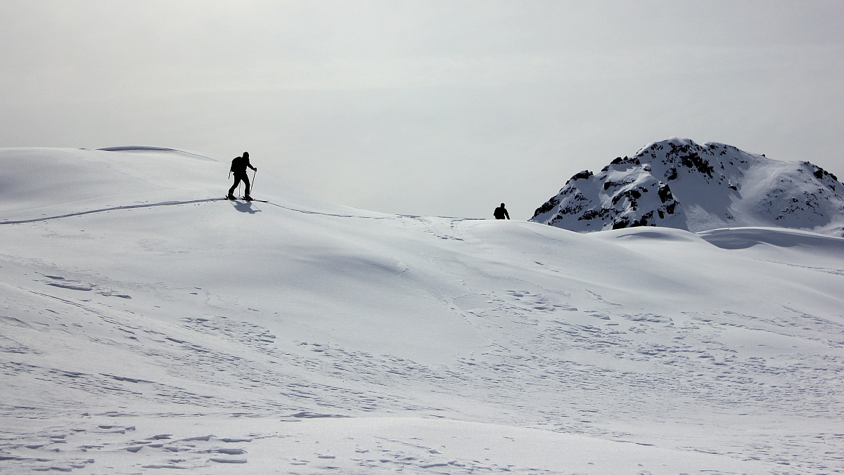 Passeggiata sulla neve 1