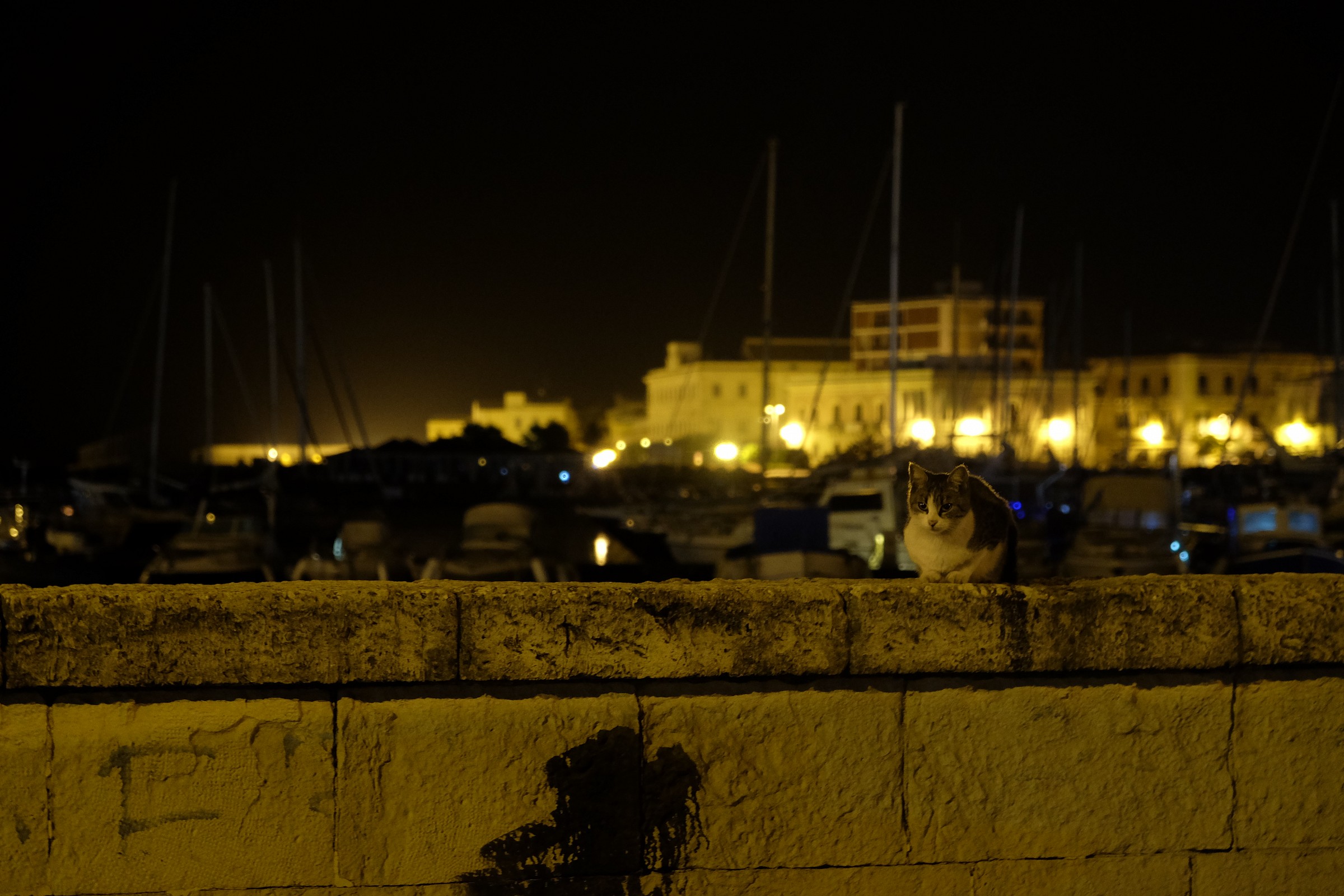 shore harbor Lachio 7