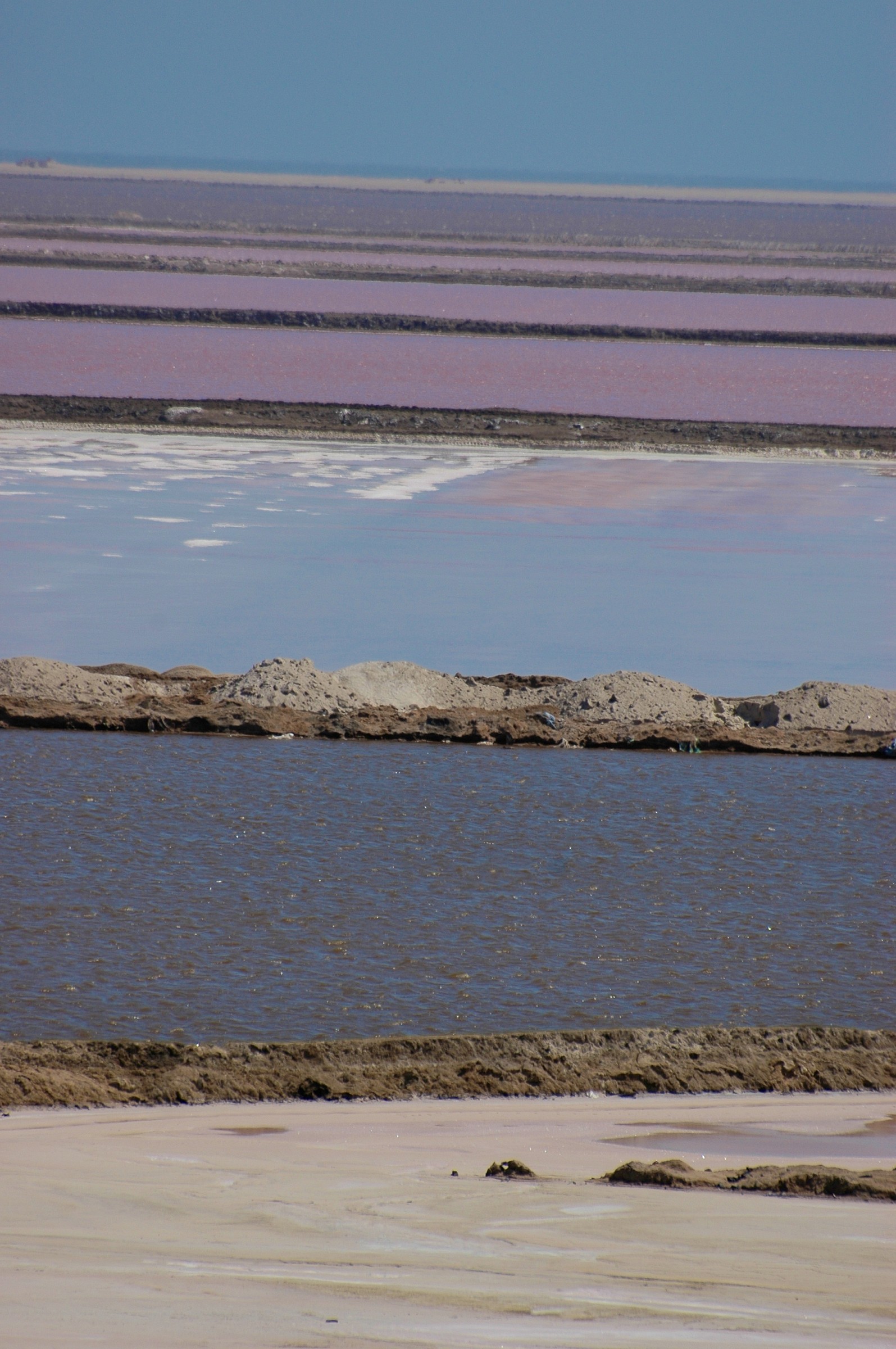 Saline di Walvis Bay, Namibia