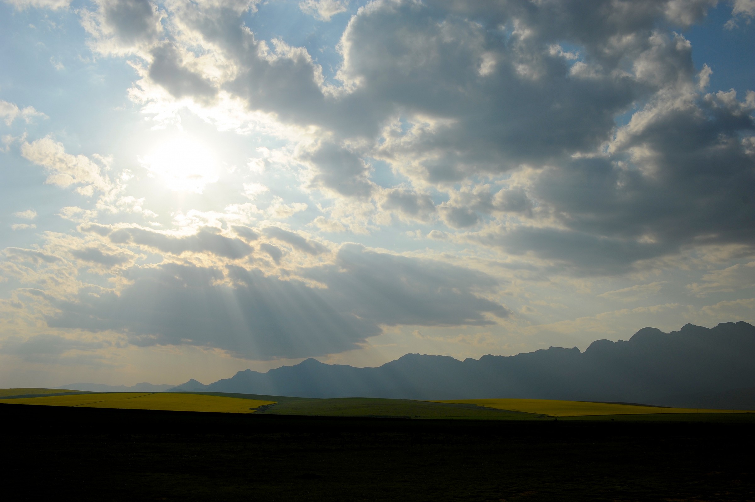 Sudafrica, regione di Cape Town