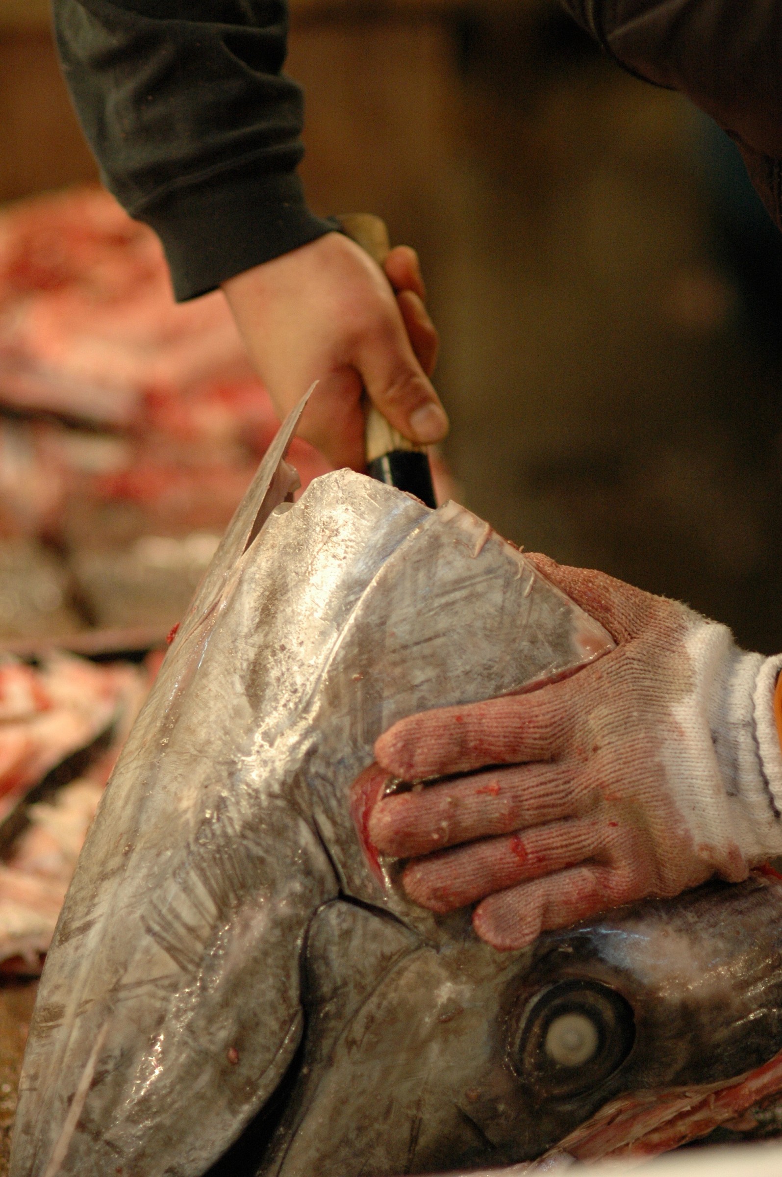 Tsukiji market, Tokyo, Giappone