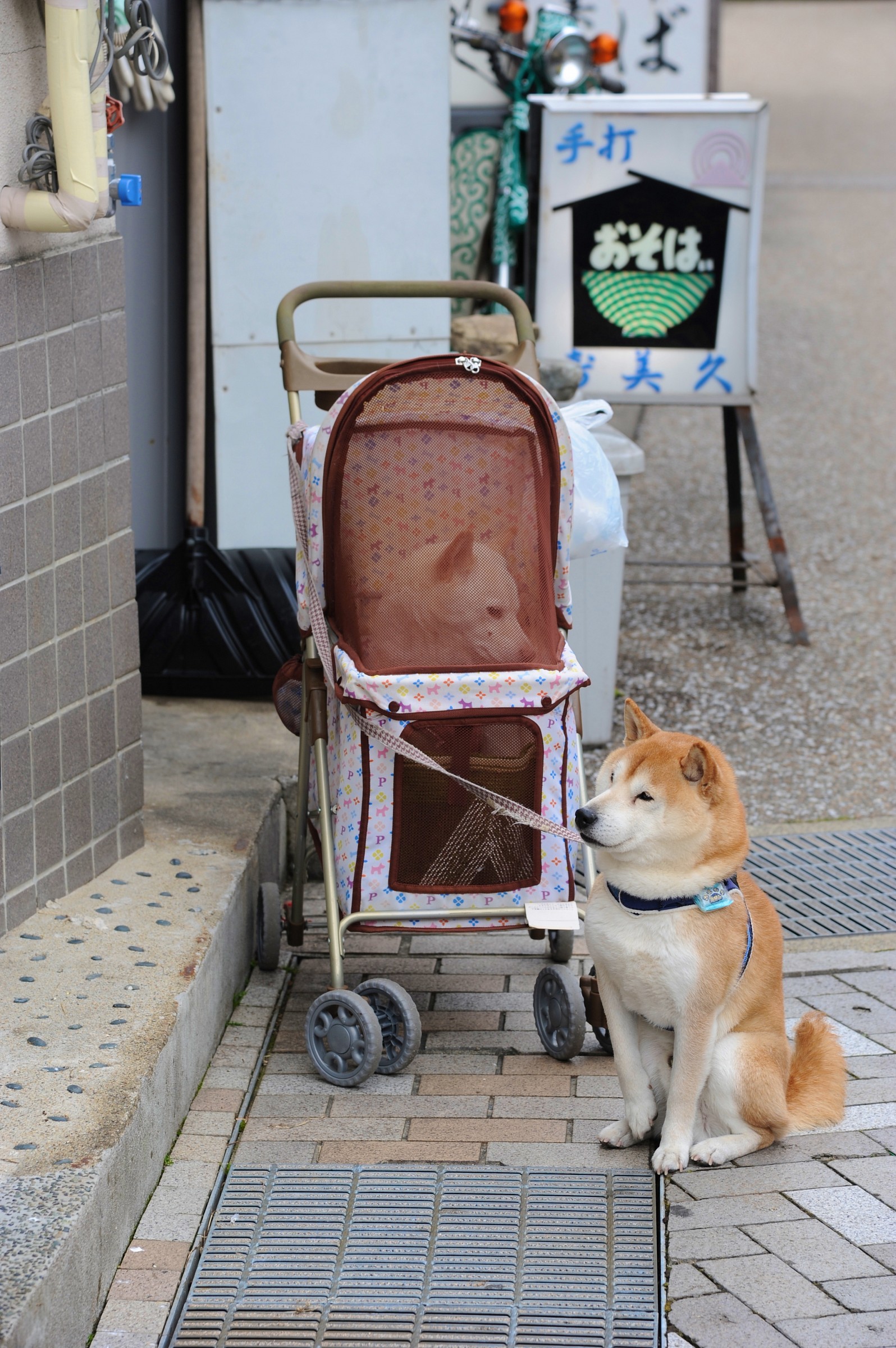 Akita, Kyoto, Giappone
