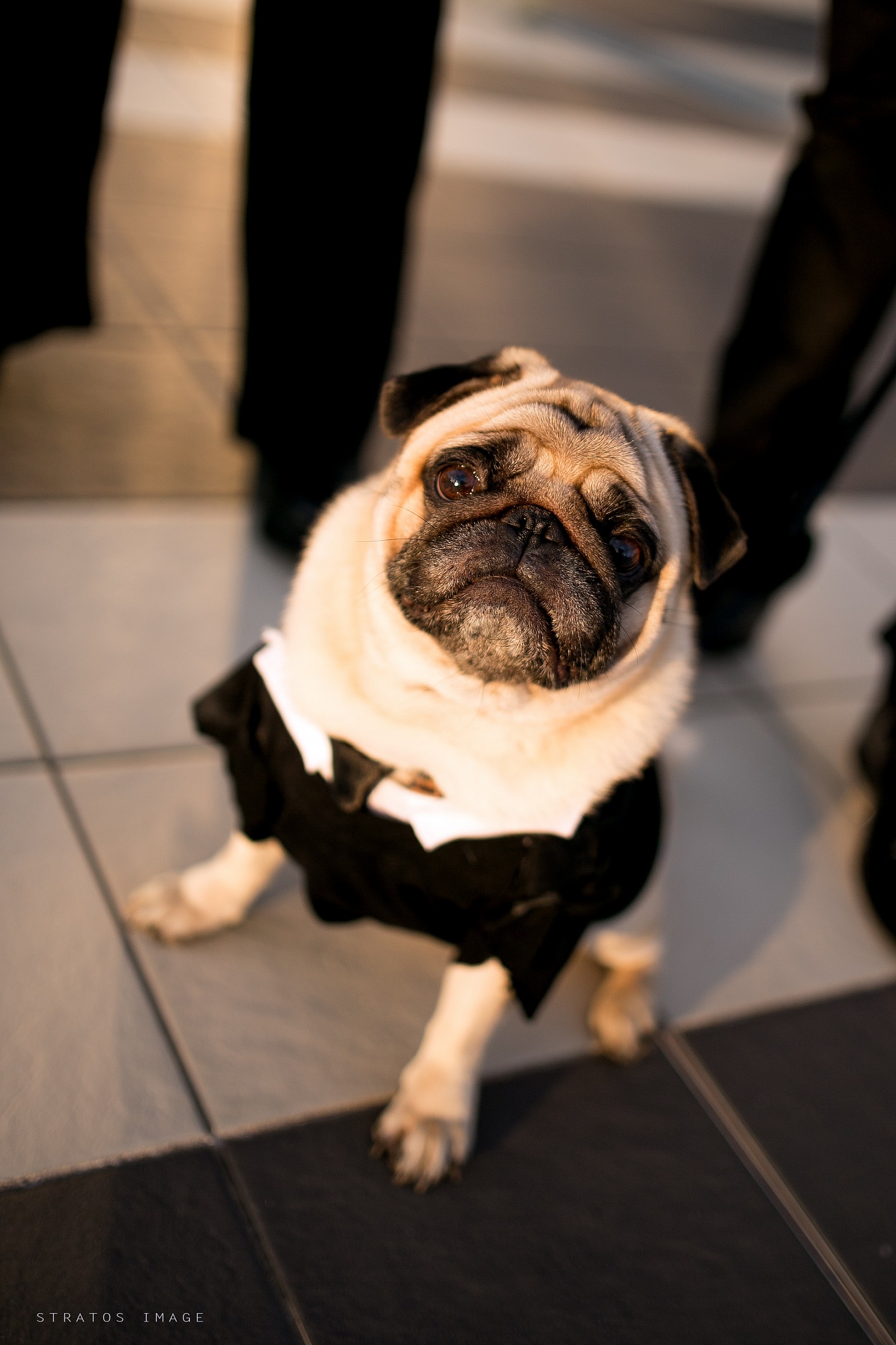 Man in black cosplay