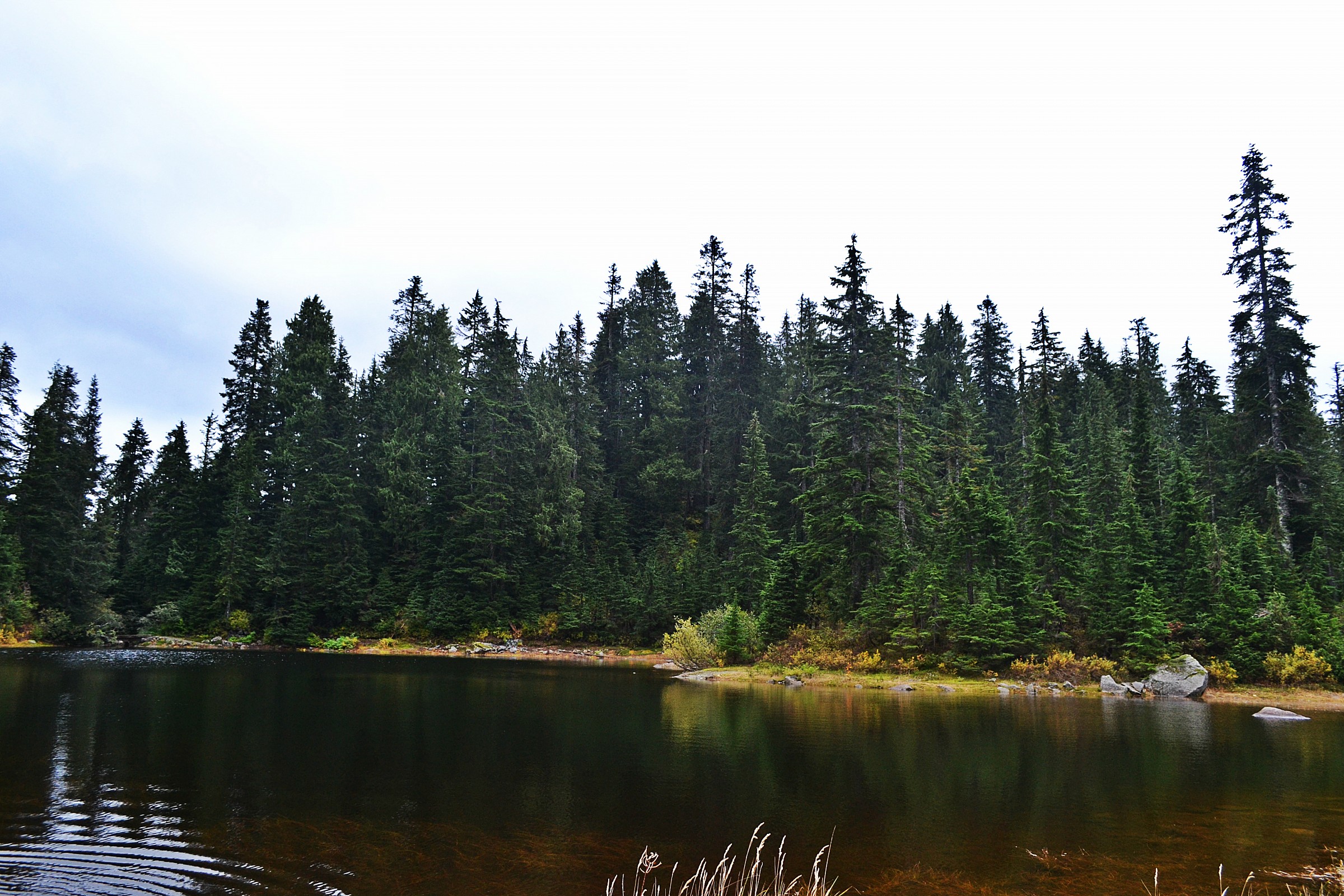 Golden lake MT. Seymour