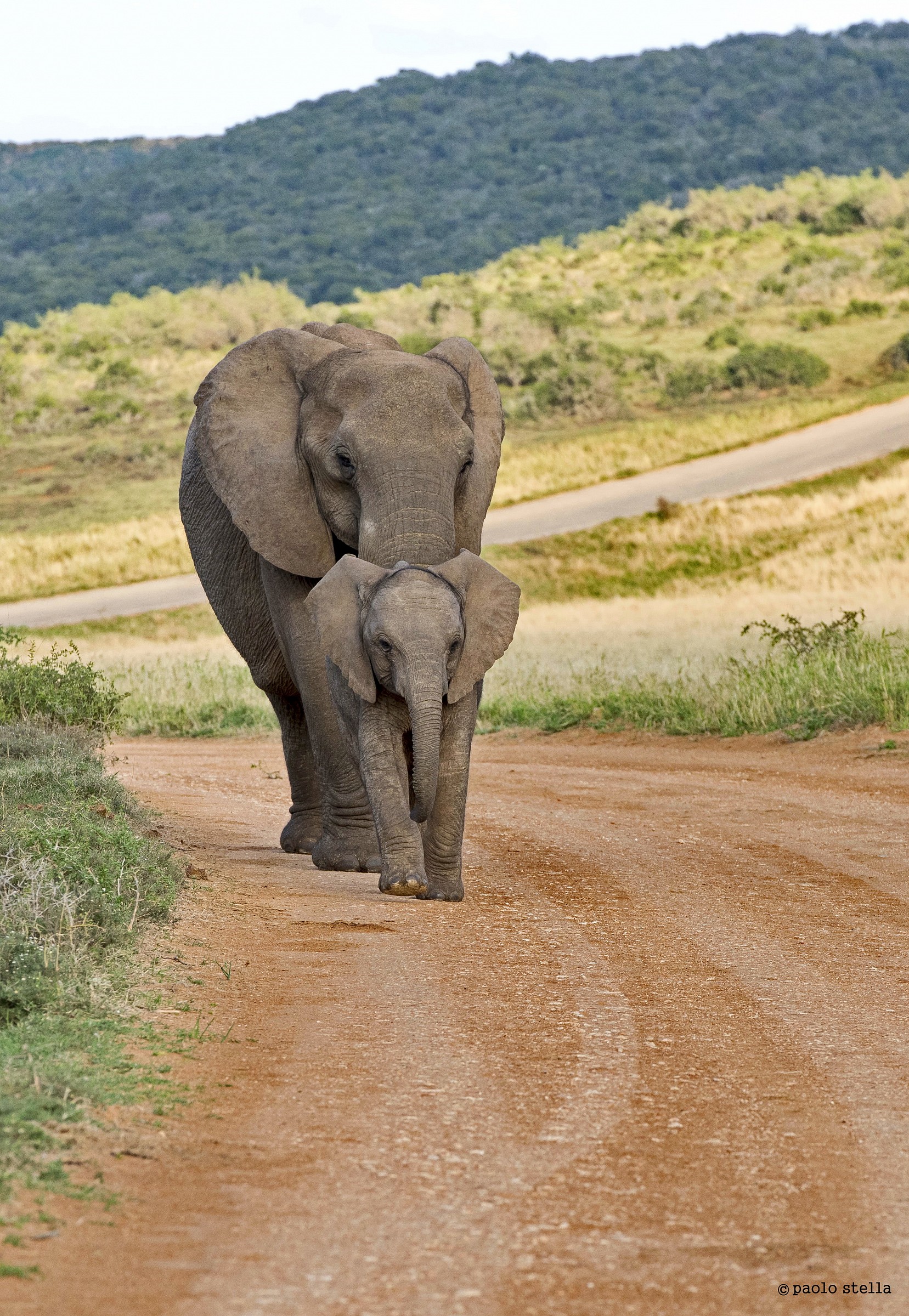 Go baby, I 'm here ...