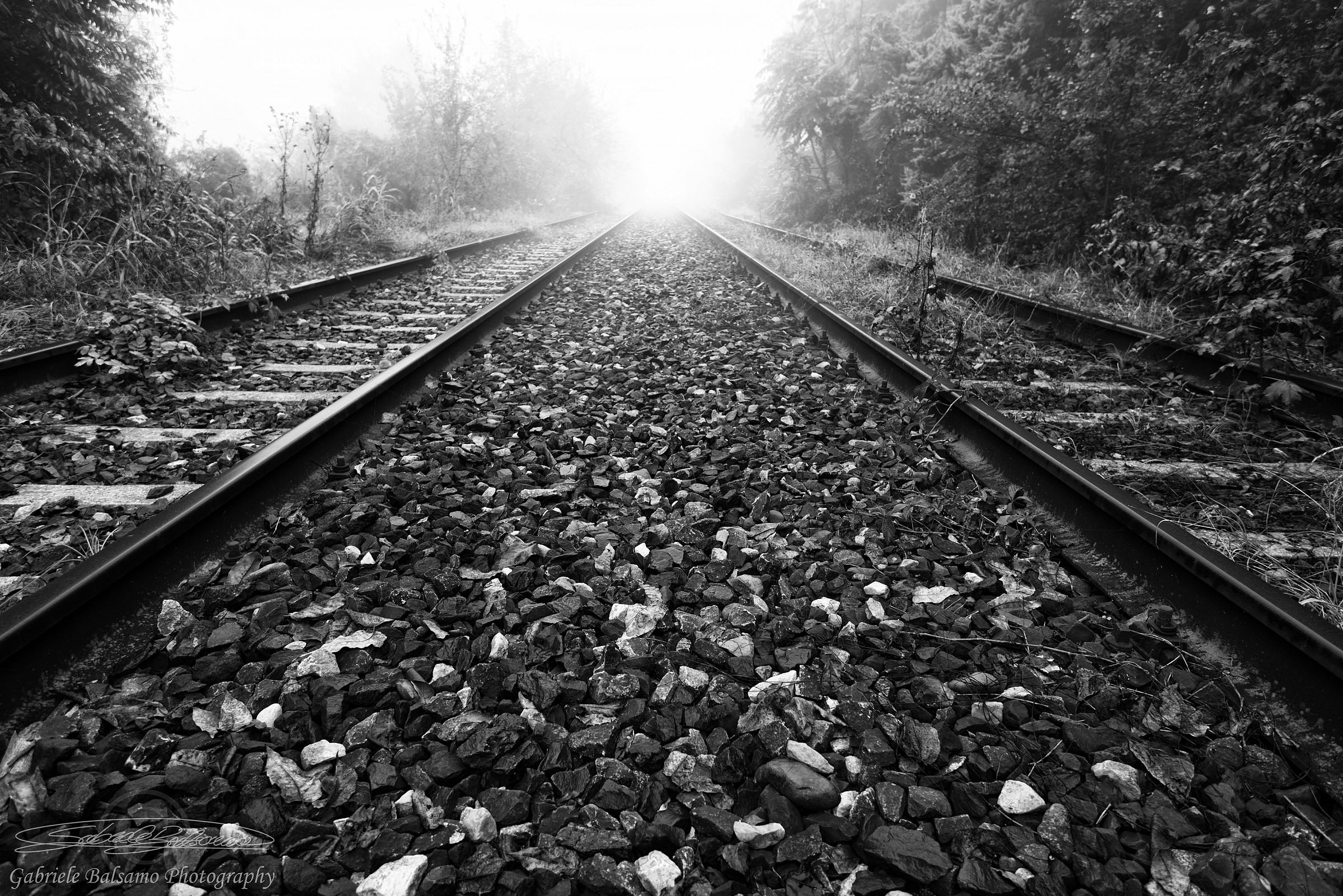 Rotta verso il nulla