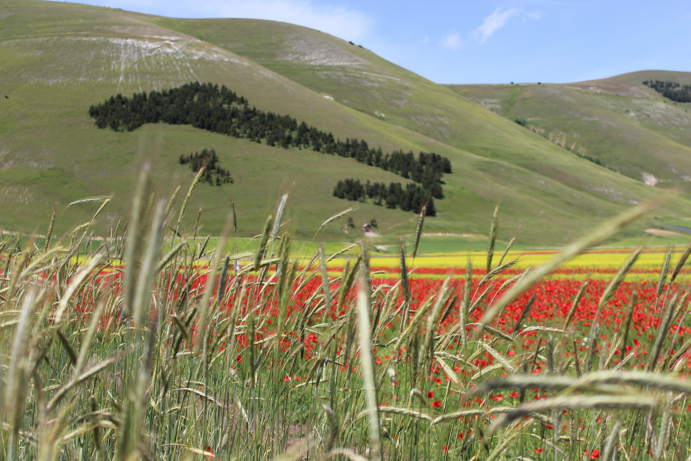 Castelluccio