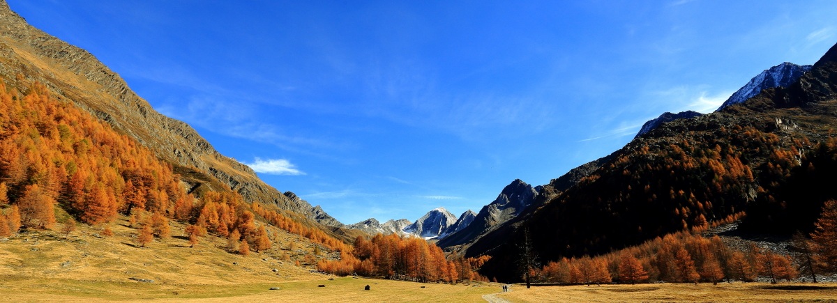 Val di Fosse...colori autunnali.