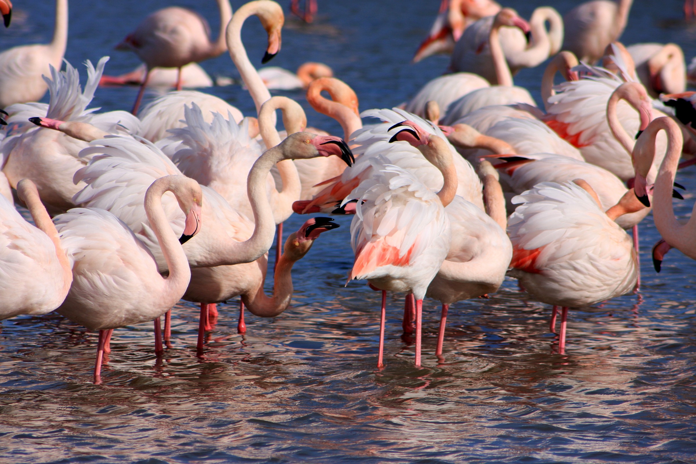 Piacevoli chiacchiere