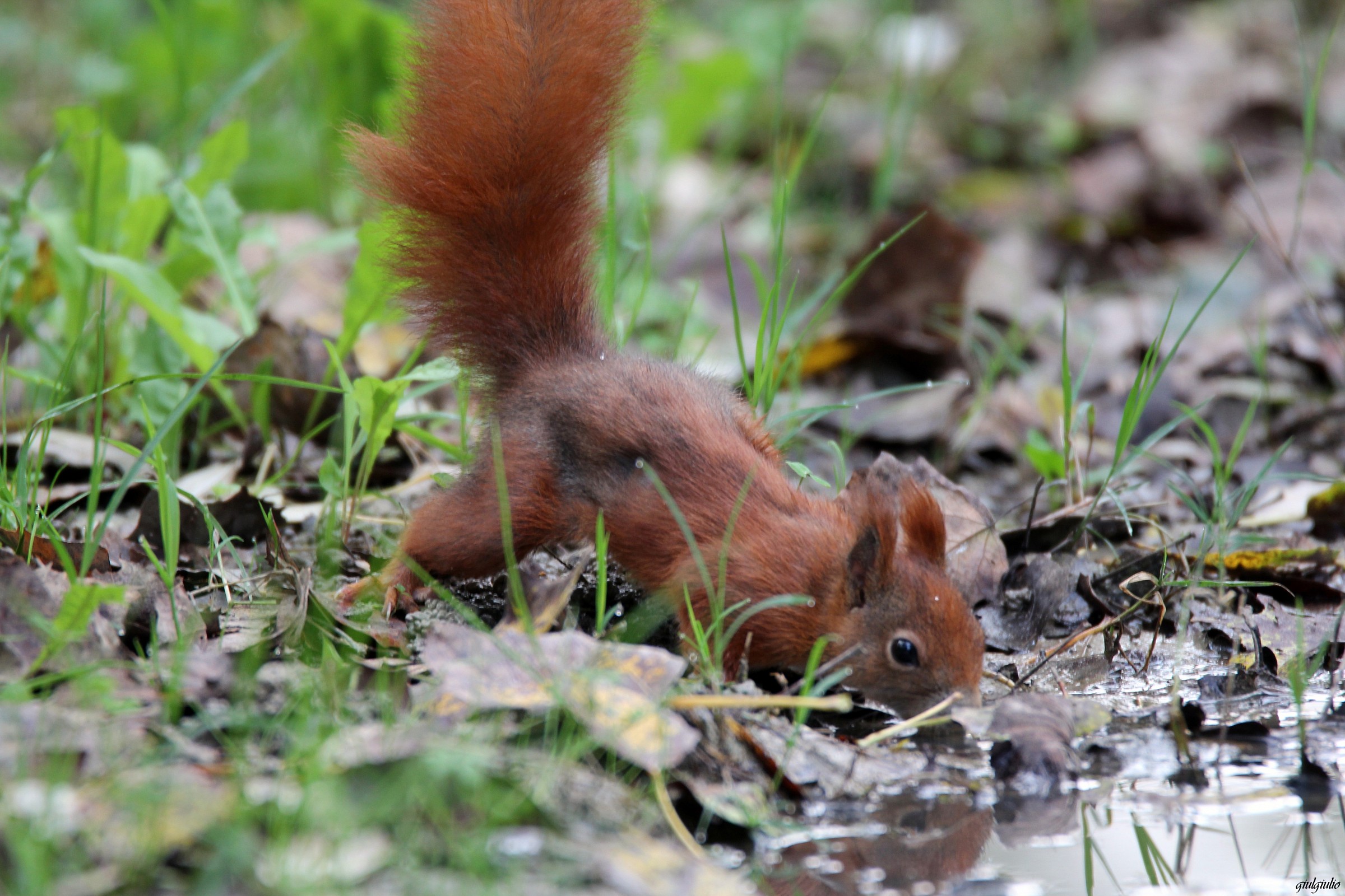 I wash my face and mirror