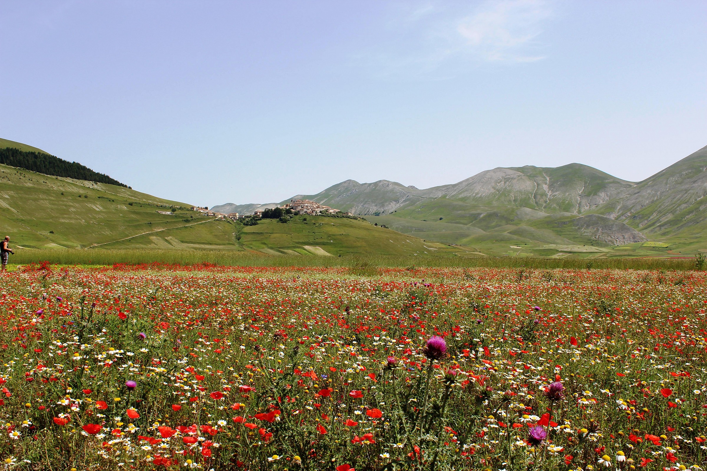 Castelluccio ... a classic ..