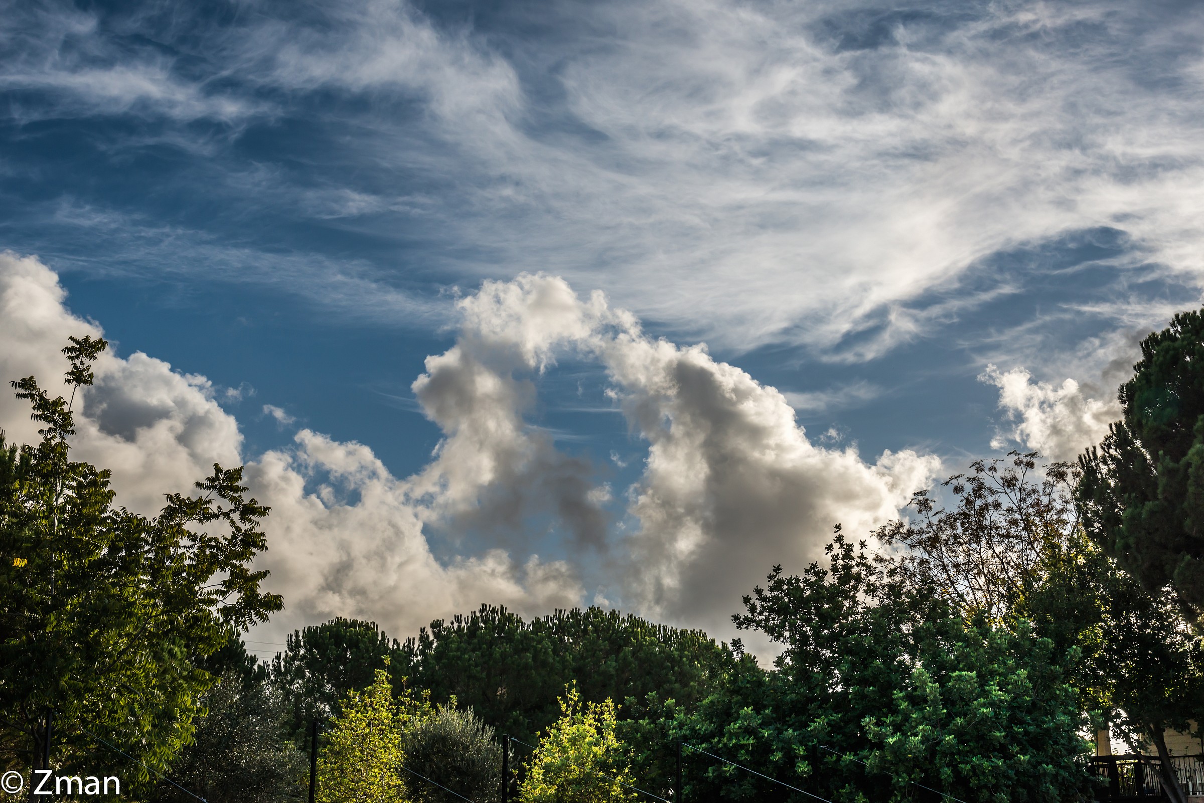 Cieli del Sud la dichiarazione di inizio di inverno