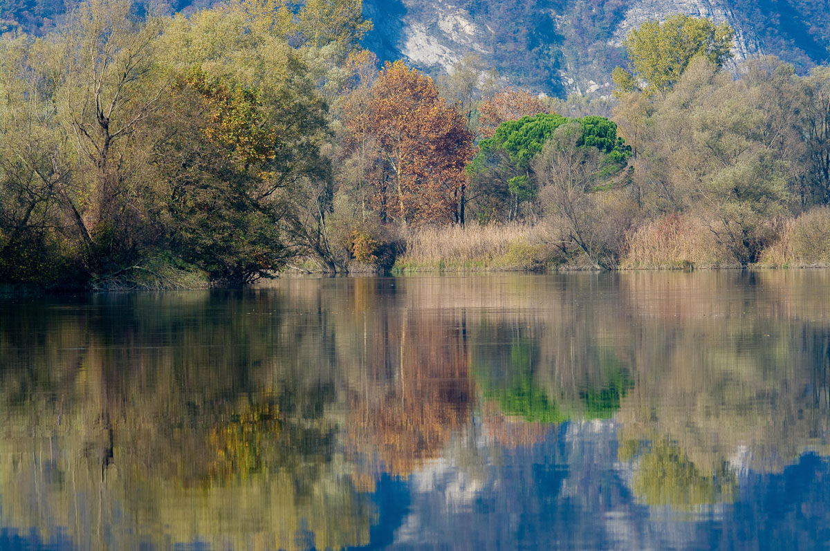 The colors of autumn
