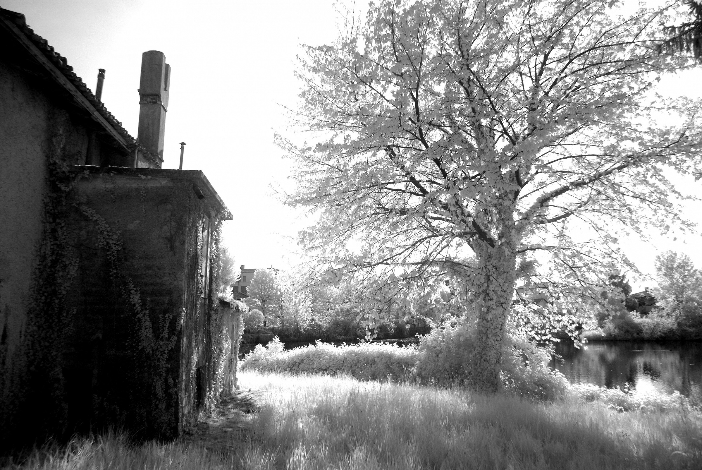 In and around the city ...