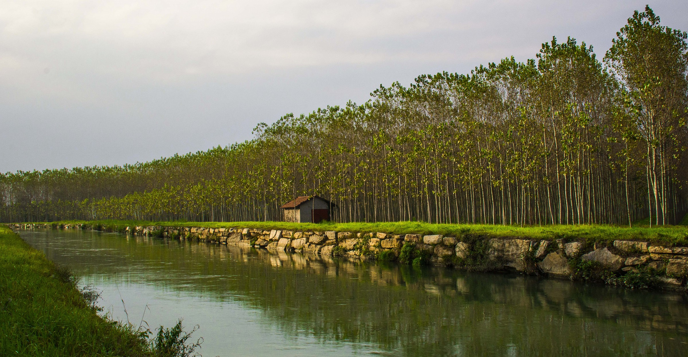 the cottage on the canal