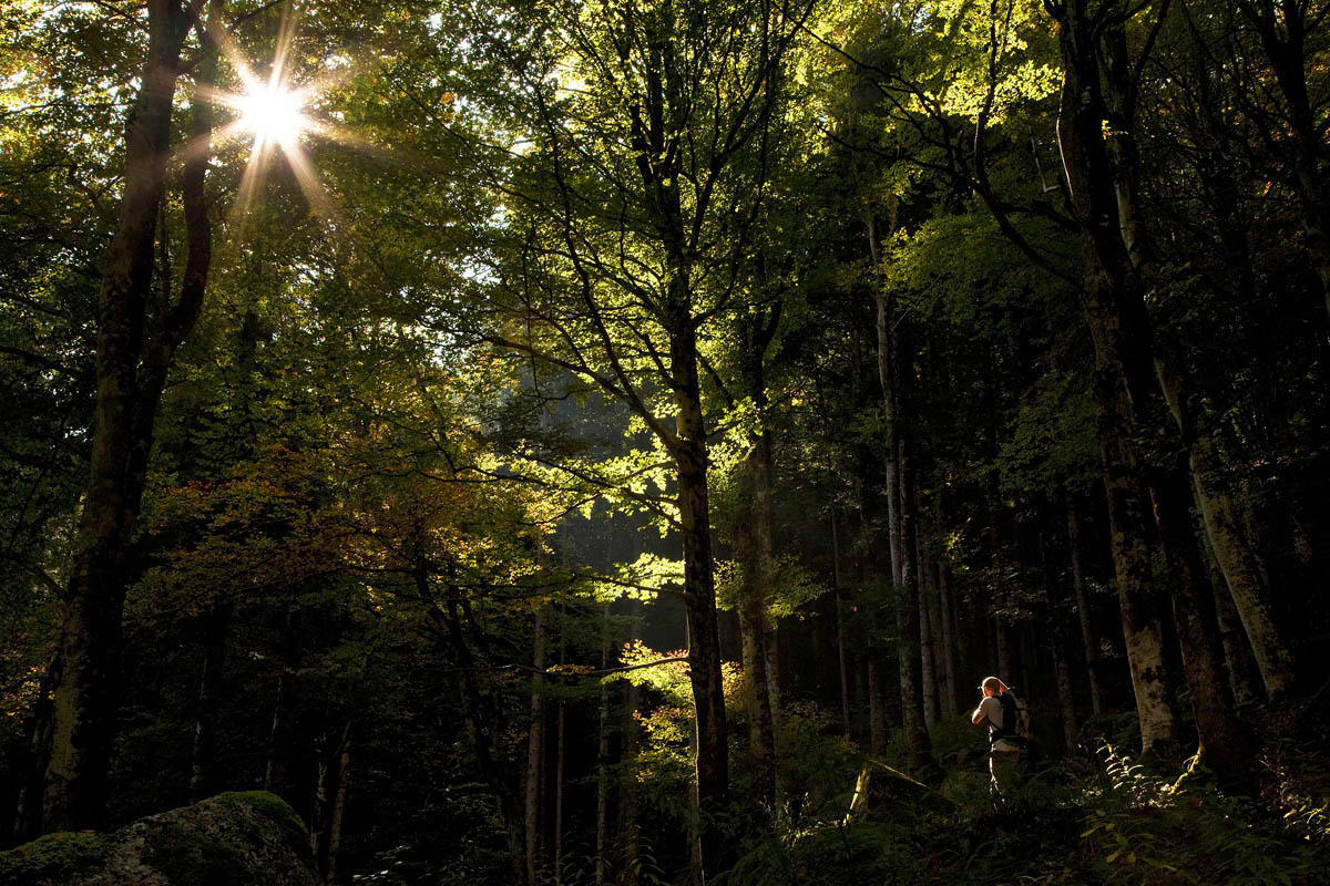 luce che regala vita.....