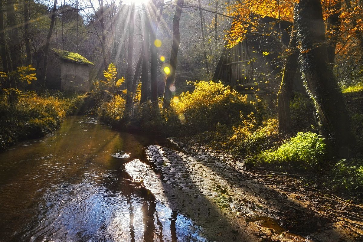 Autumn at Mulinaccio