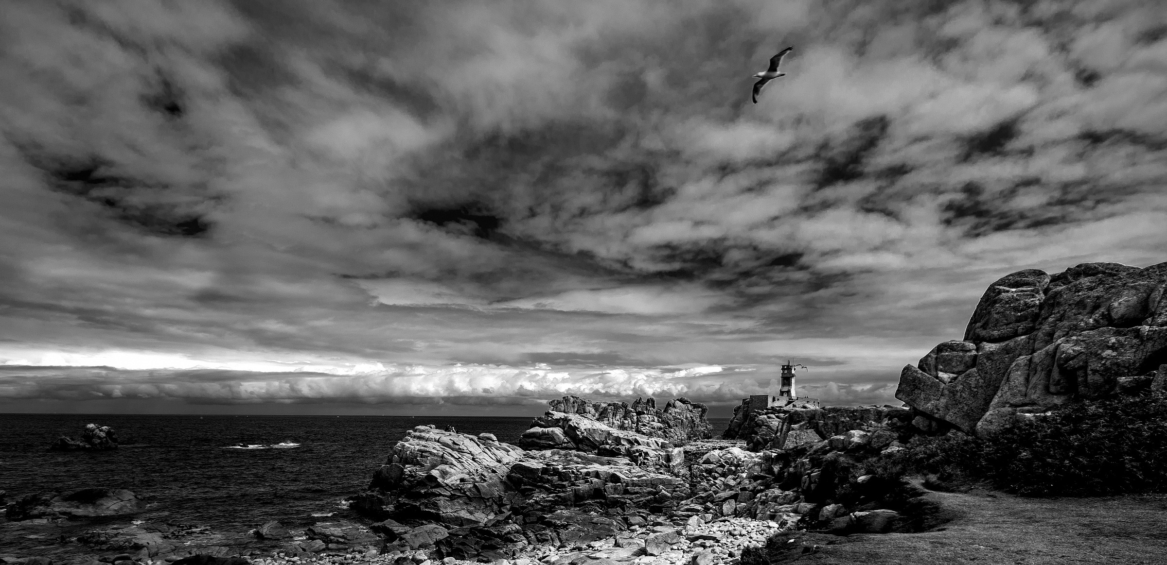 continua a volare libero..................