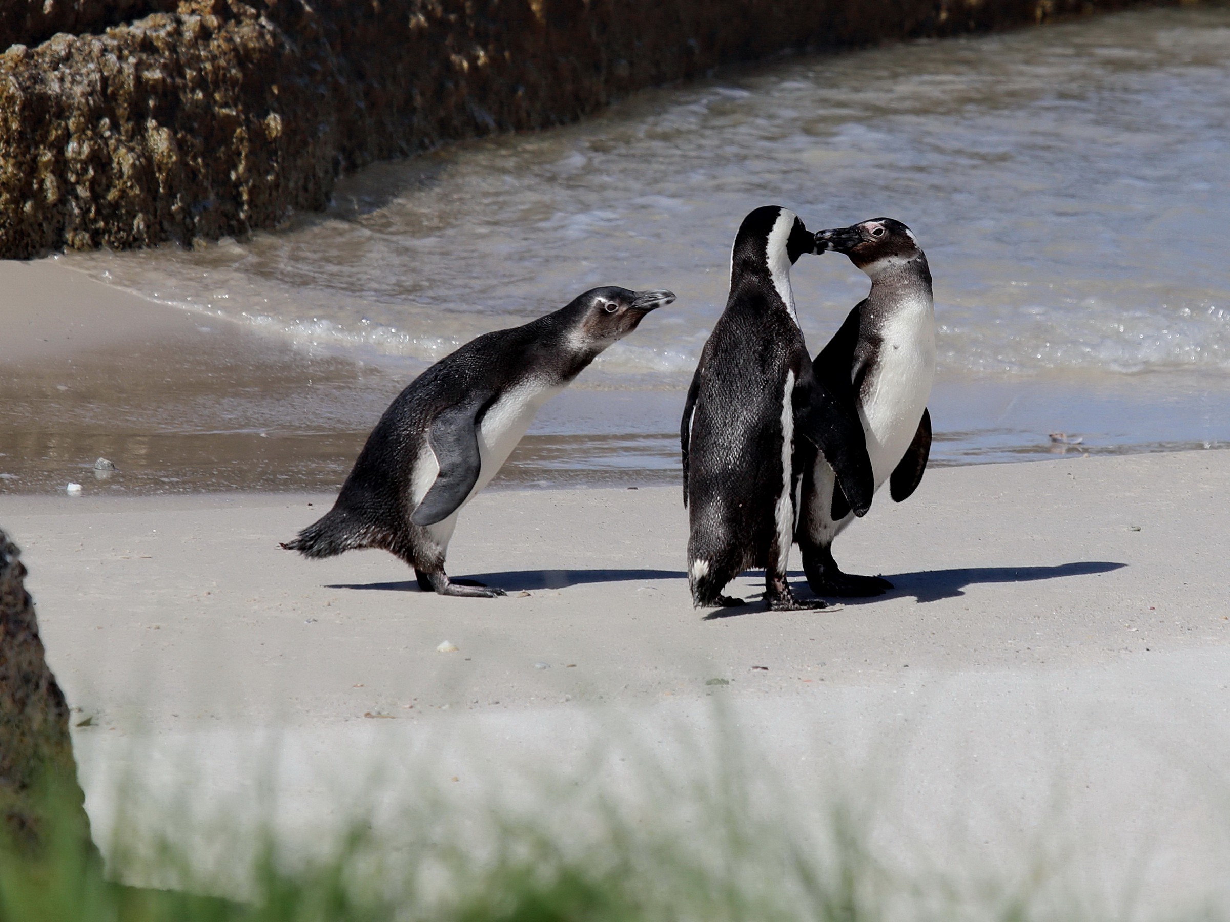 what are you two doing?