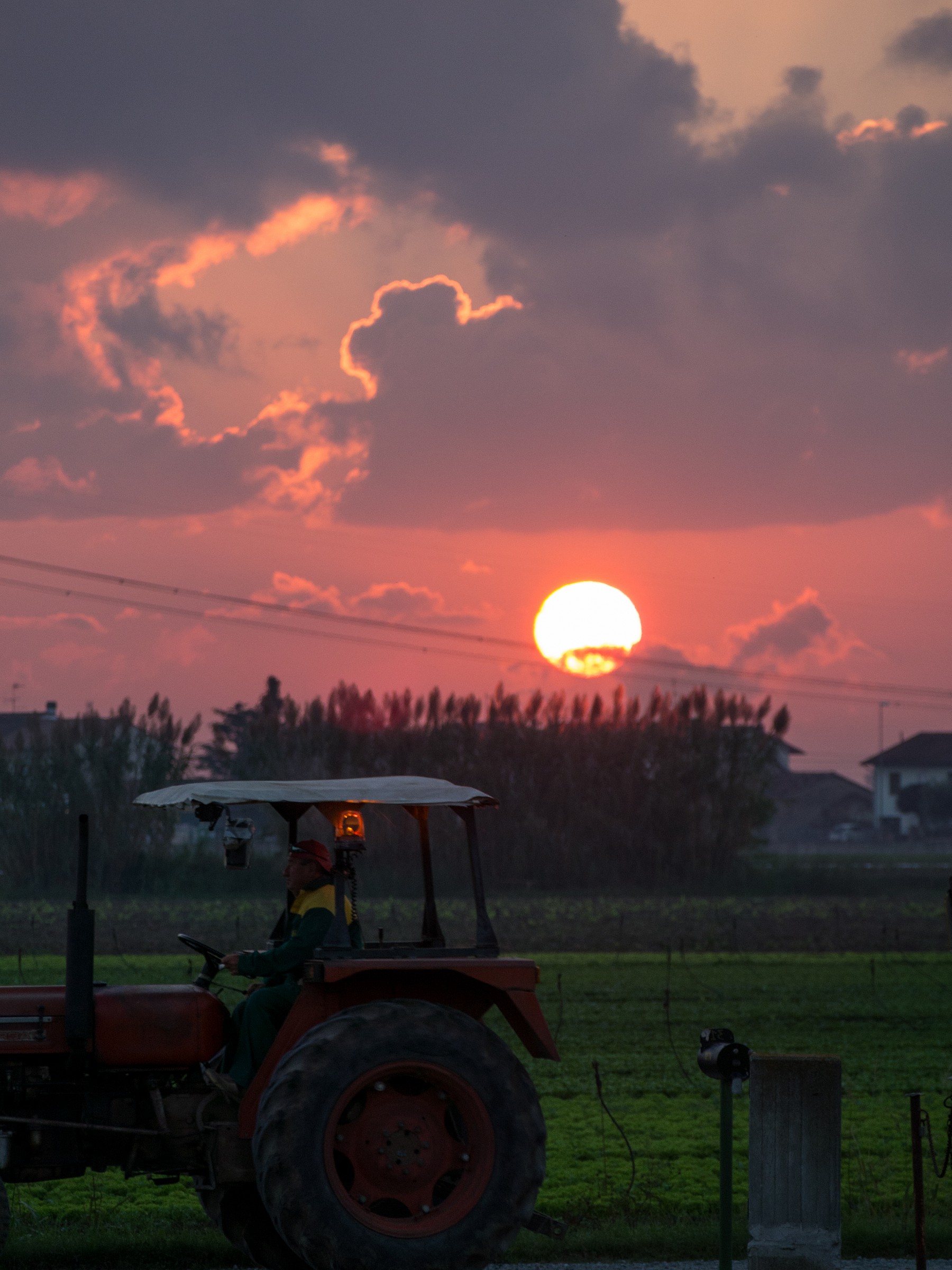 The early bird catches the worm