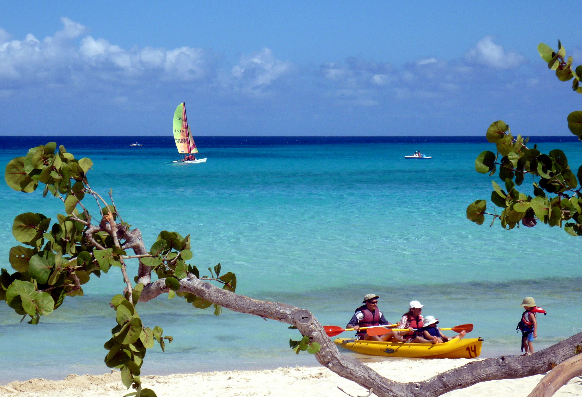 To each his own half