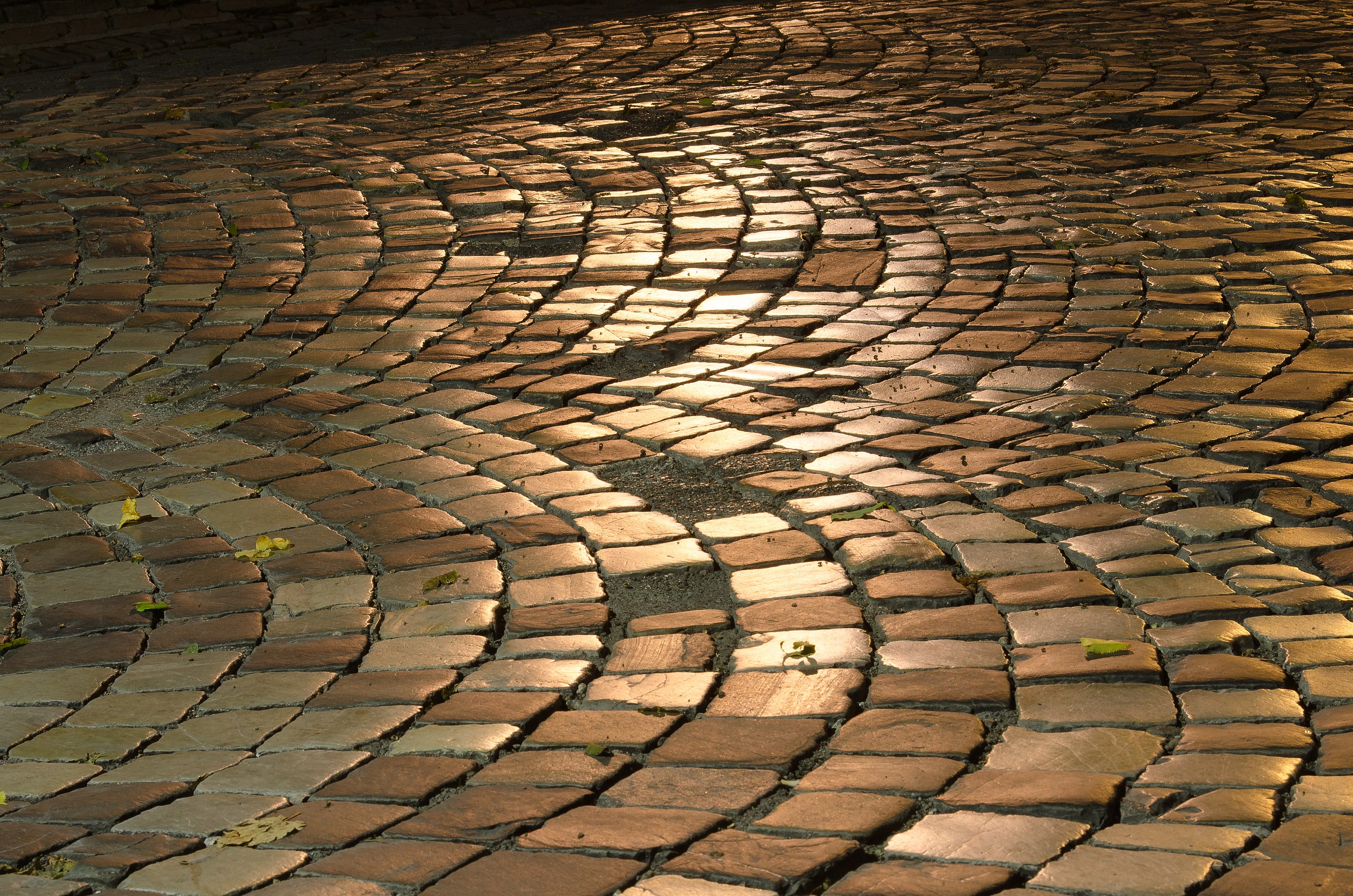 In front of the Duomo