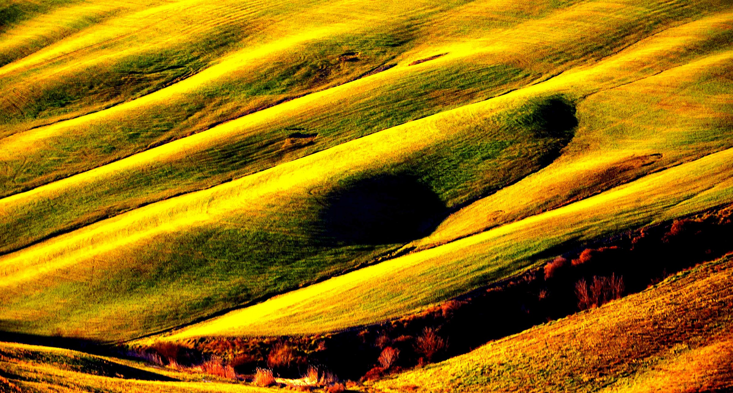 Autunno senese , come un velluto