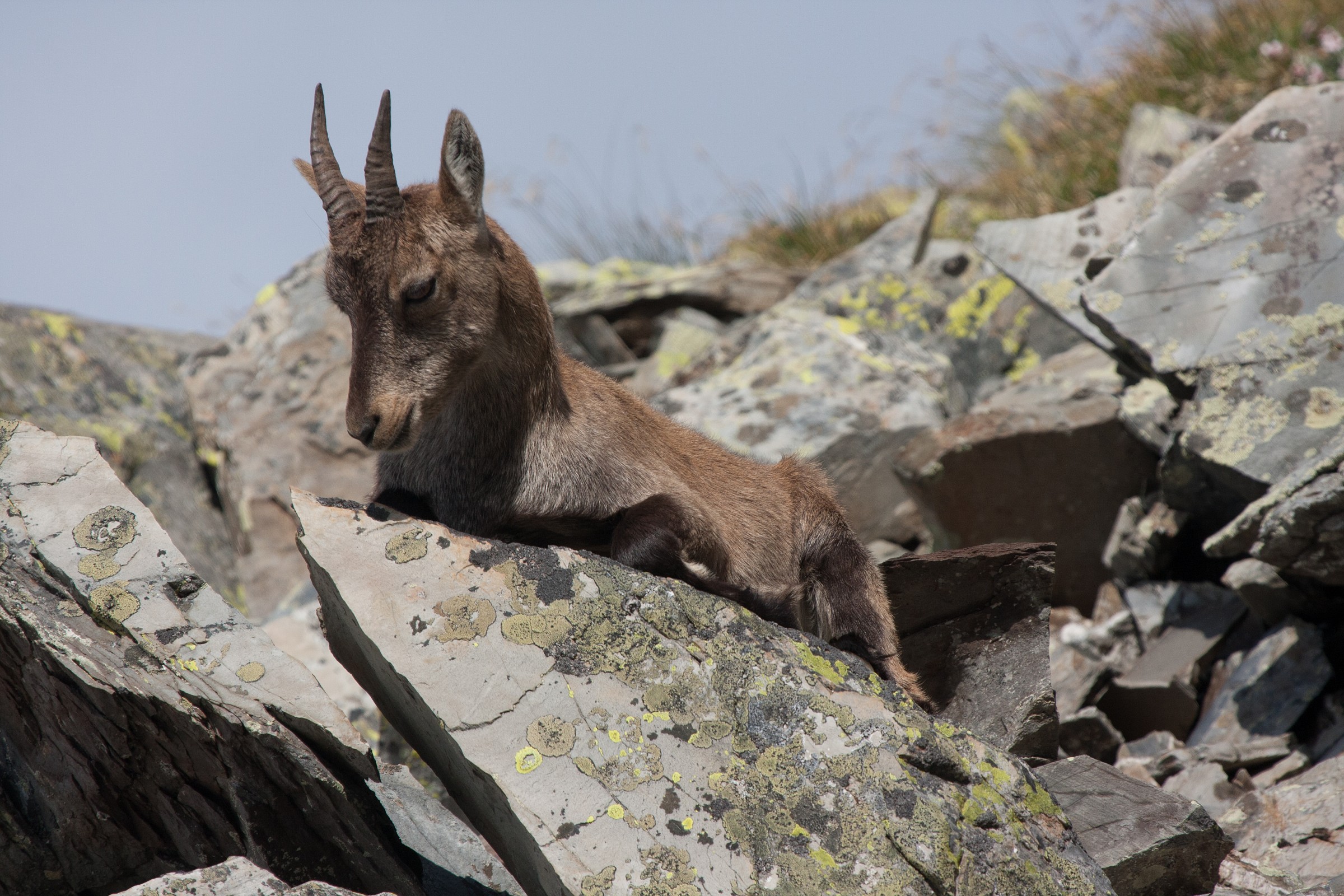 relax alta valle Brembana
