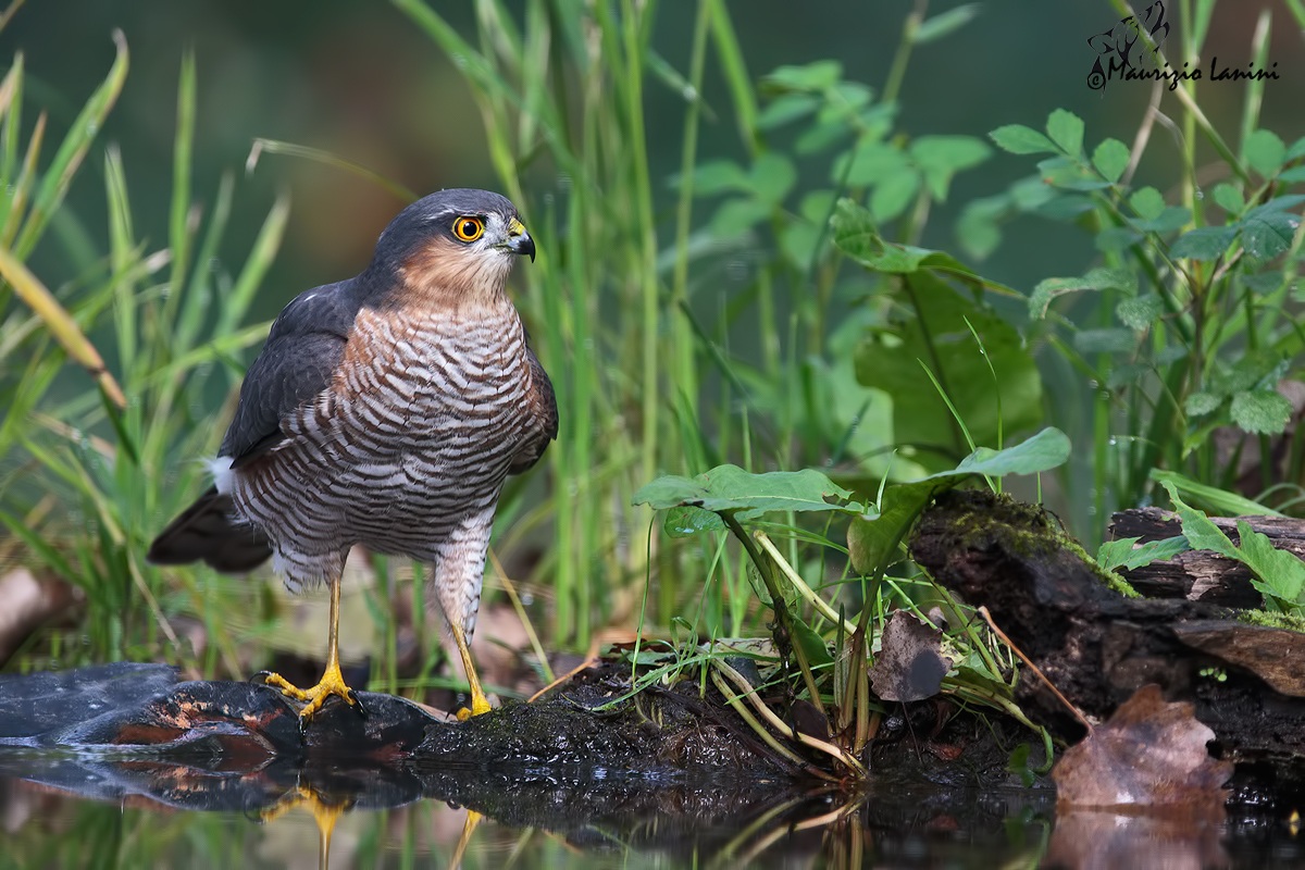 Prima della bevuta!!
